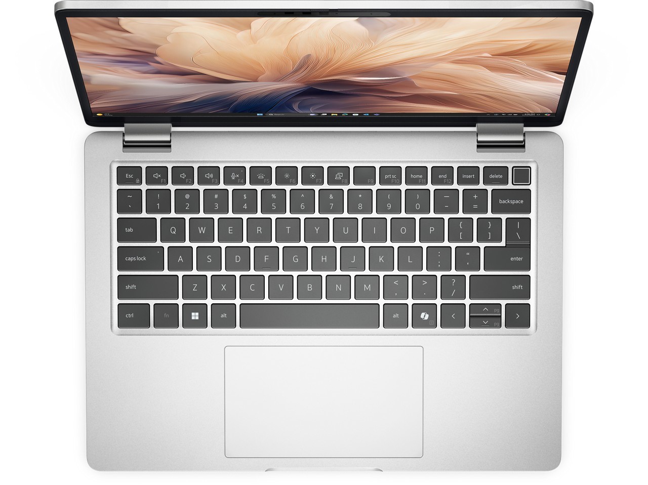 Dell Pro 13 Plus Laptop Touch AMD Ryzen AI 5 PRO 340 512GB SSD 16GB RAM Win11 Pr