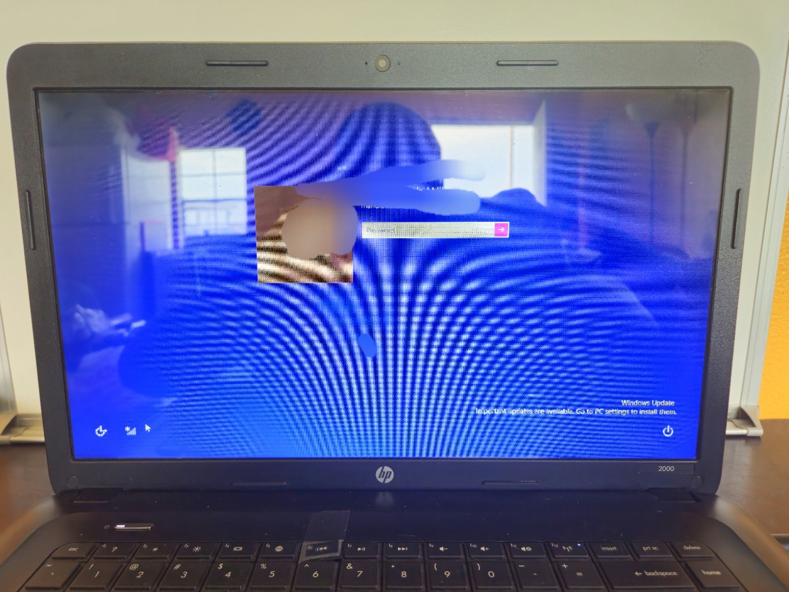 hp 2000 vision amd | Clean Looking Laptop | Blue In Color | Charger Cord Not Inc