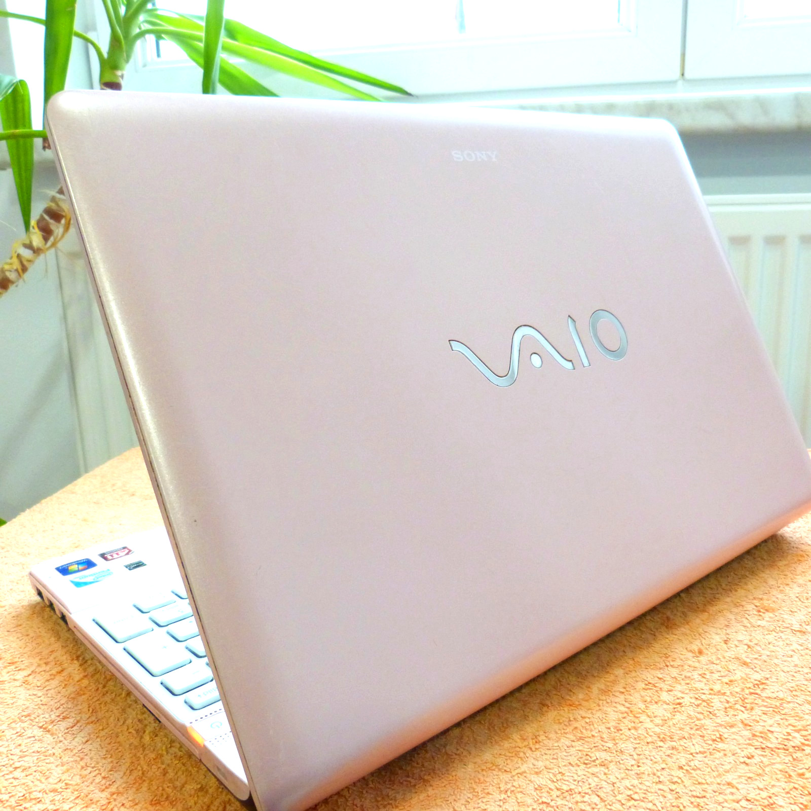 XL LOT ROSE PINK Sony Vaio EB PREMIUM 15″ Allrounder l 480GB SSD Windows 10