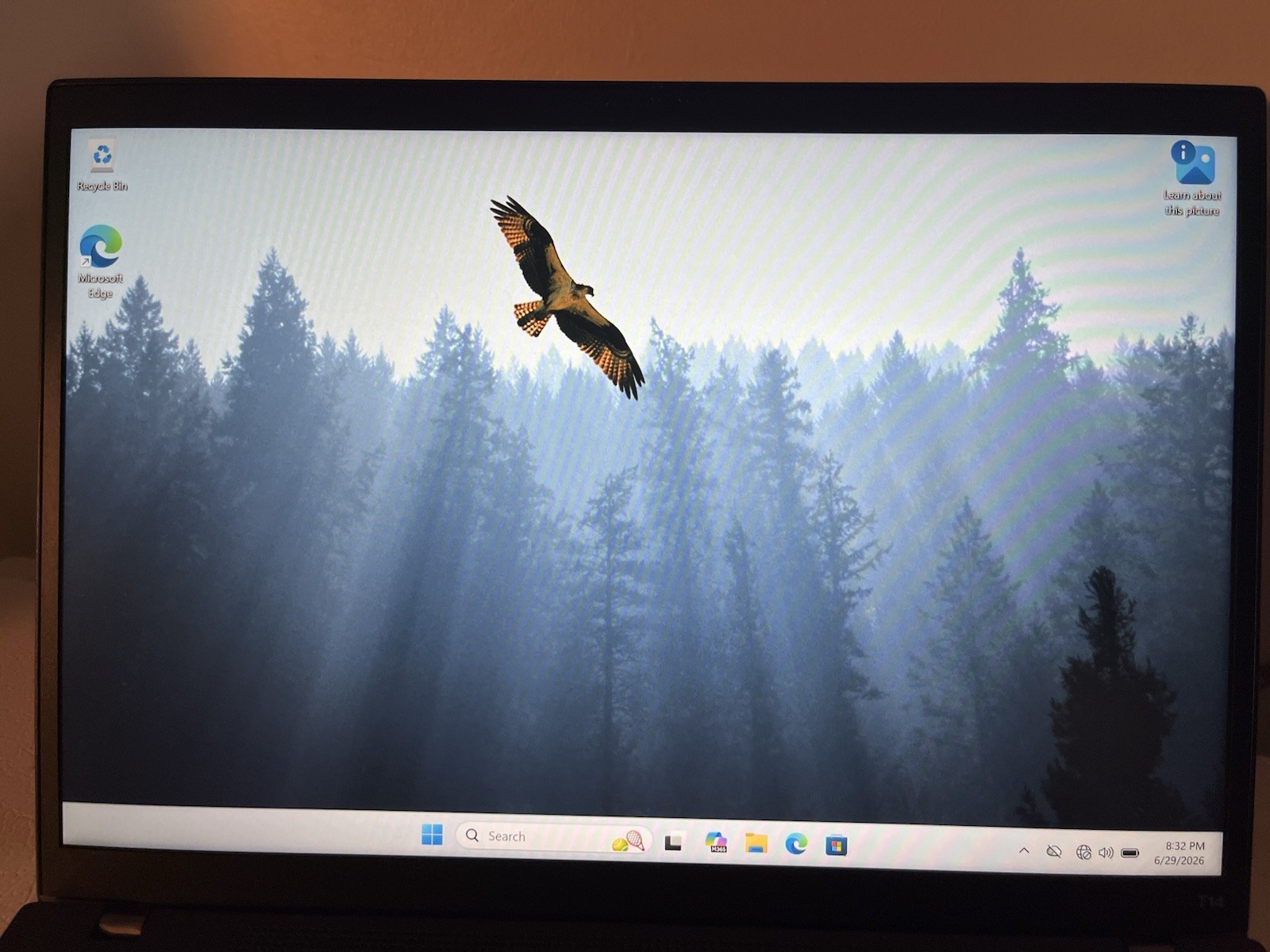 LENOVO ThinkPad T14 Gen 3 14″ WUXGA i7-1260P 2.1GHz Intel Iris Xe 16GB 500GB