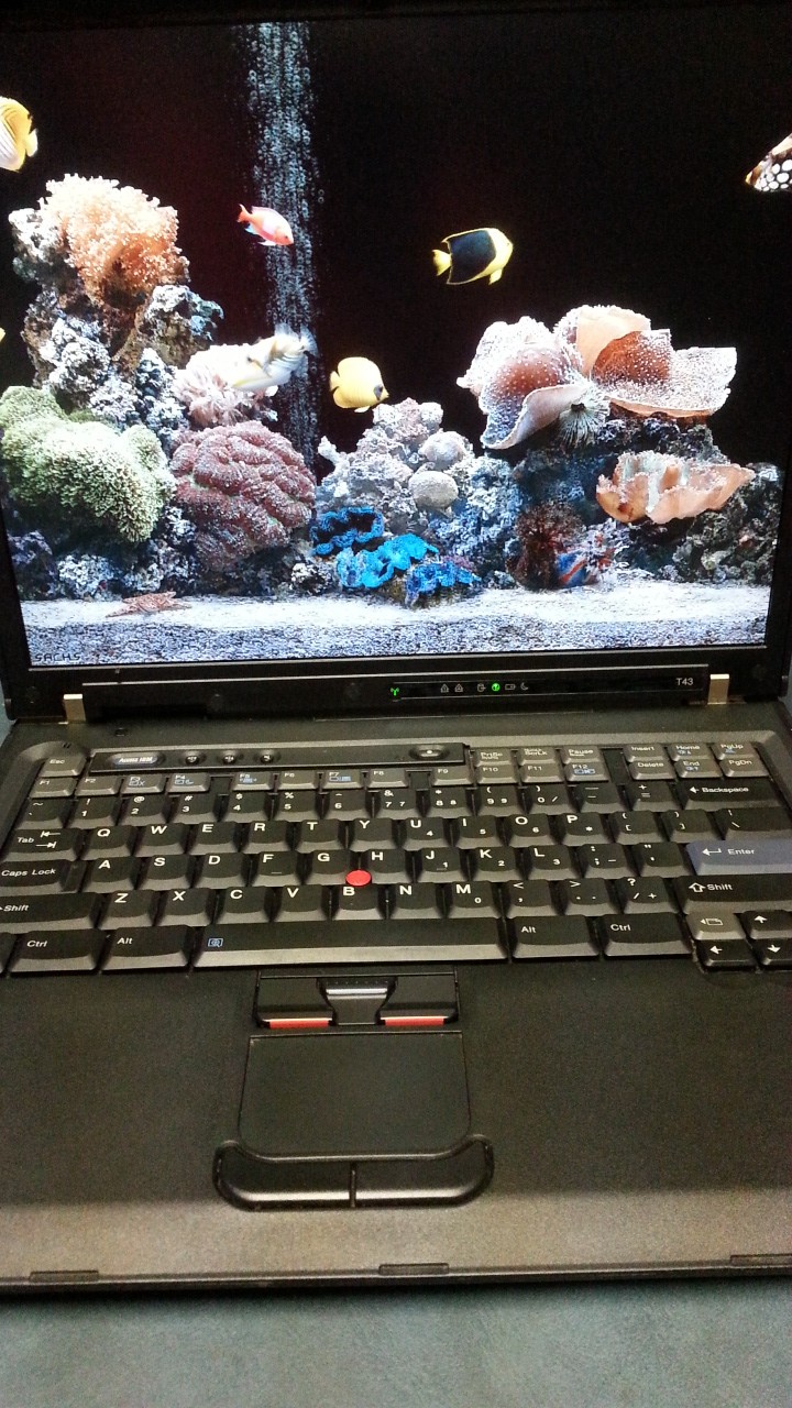 IBM T43 15″ low 23hrs LCD FLEXVIEW XP COLLECTOR SAMSUNG 160GB THINKPAD