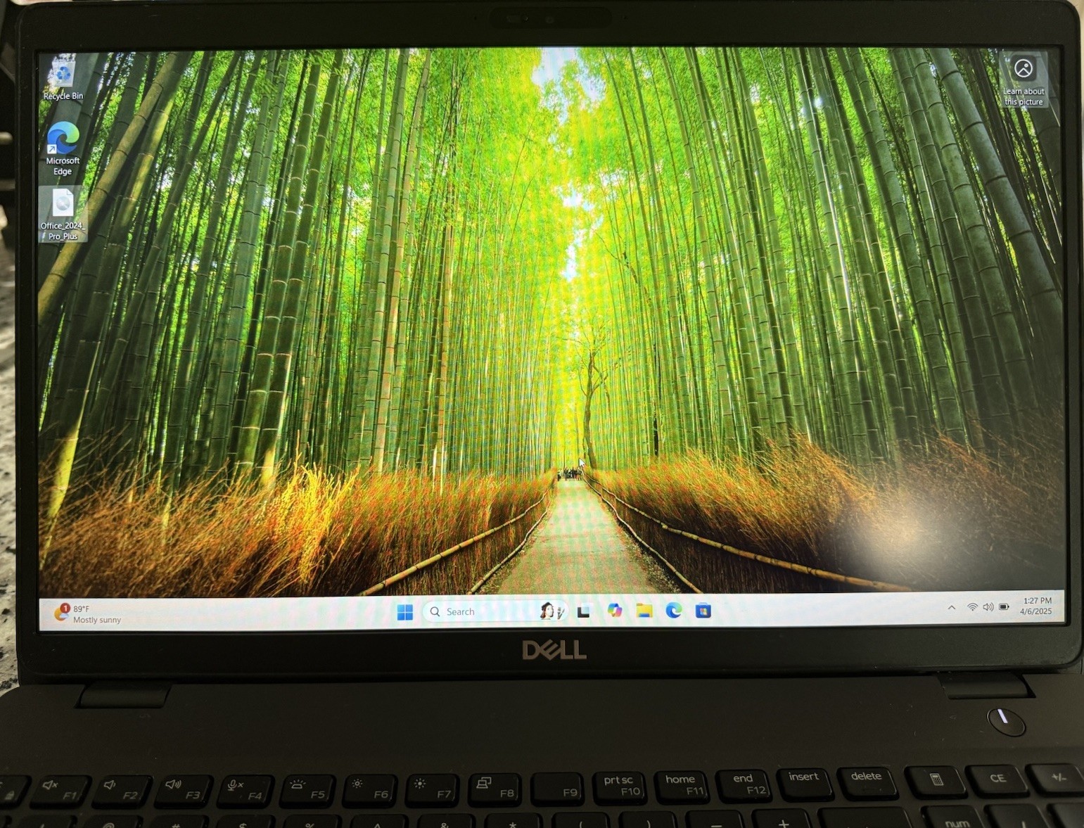 Dell Latitude 5501 15.6″ i7-9850H up 32GB RAM 2TB SSD Win11 Pro NVIDIA & Office