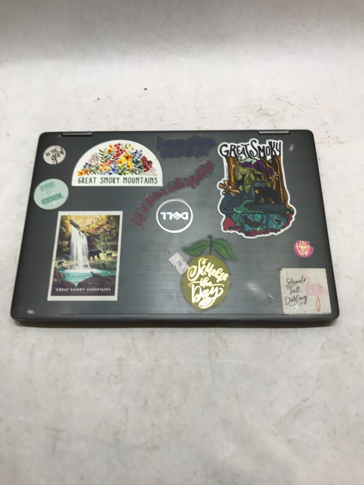 Dell Latitude 3379 13″ Intel Core i3 NO RAM NO HDD/OS For Parts BAD HINGES! – DW