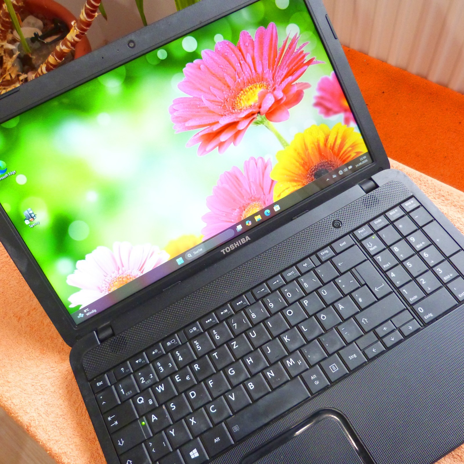XXL LOT Toshiba C850 15″ HD l 8GB RAM NEW l SSD Windows 11 HDMI USB3 DVDRW