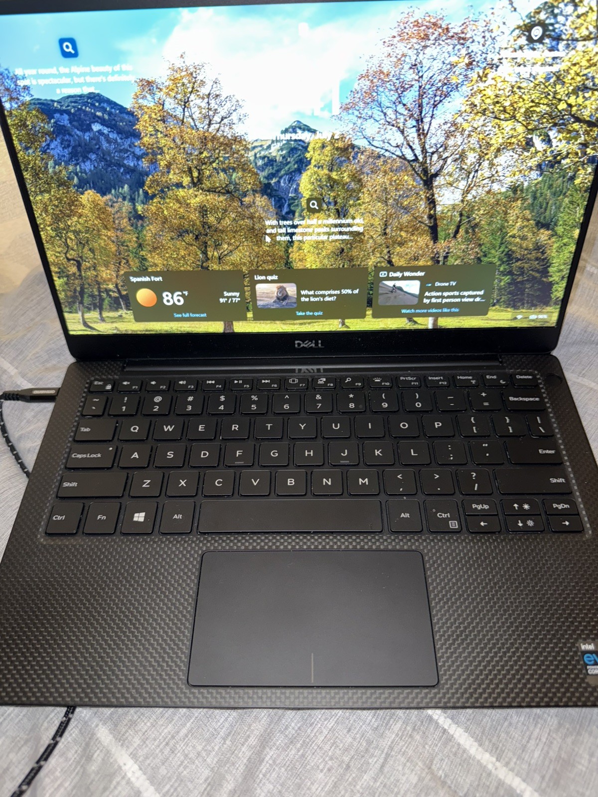 Dell XPS 13 9310 13.4″ (256GB, Intel Core i5 11th Gen., 4.20 GHz, 8 GB) Laptop