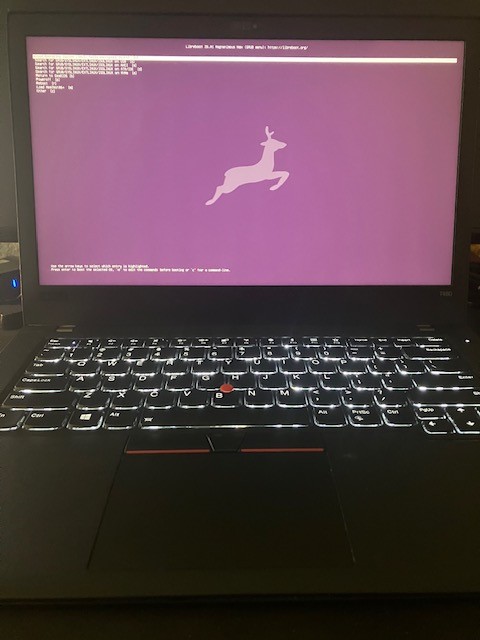 Libreboot ThinkPad T480 i5-8250U 16GB 500GB NVMe Linux Privacy Laptop coreboot