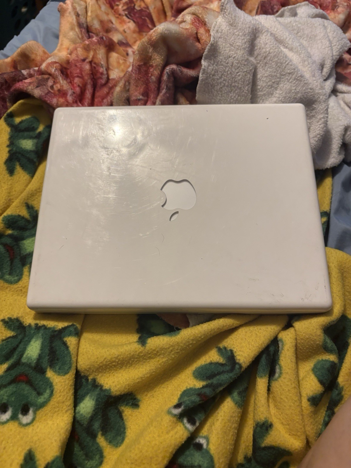 Apple iBook G4 14″ A1055 1.07 GHz PowerPC 1.25GB RAM 40GB HDD OS X 10.5.1 Retro