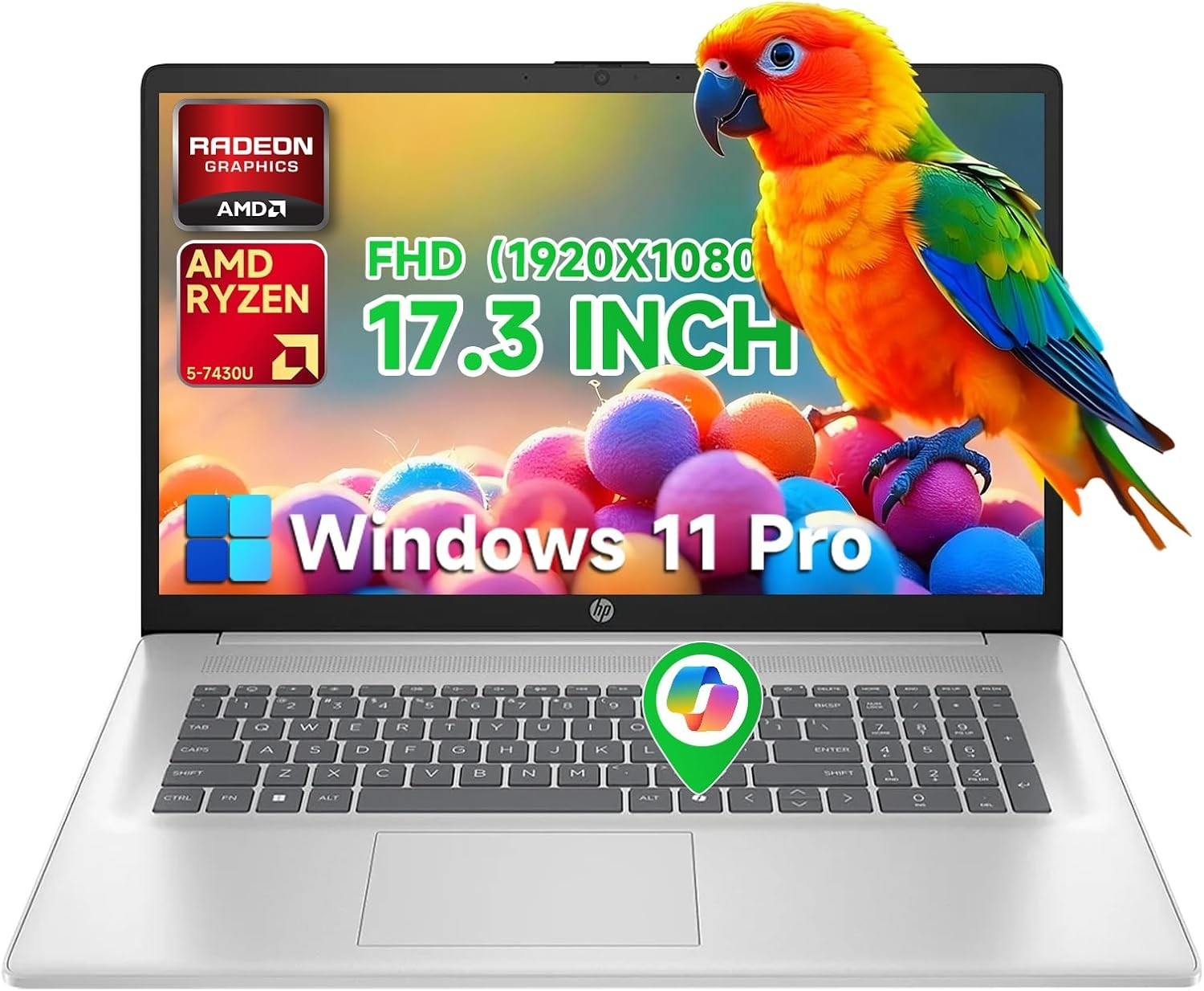 HP Notebook 17 17.3″ FHD AMD Ryzen 5 7430U 64GB RAM + 1TB SSD Win11 Pro Silver