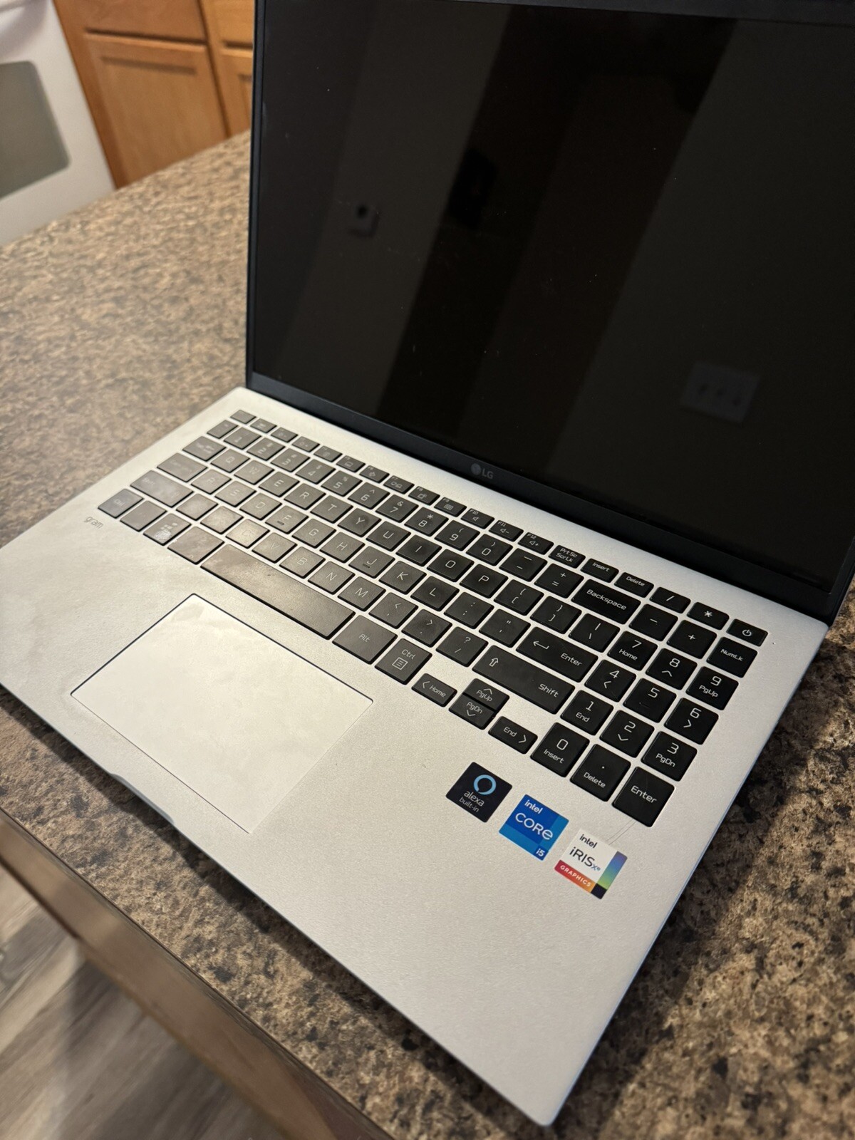 LG Gram 15” Lightweight Laptop, Intel 11th Gen Core i5, 16 GB RAM, 512GB SSD