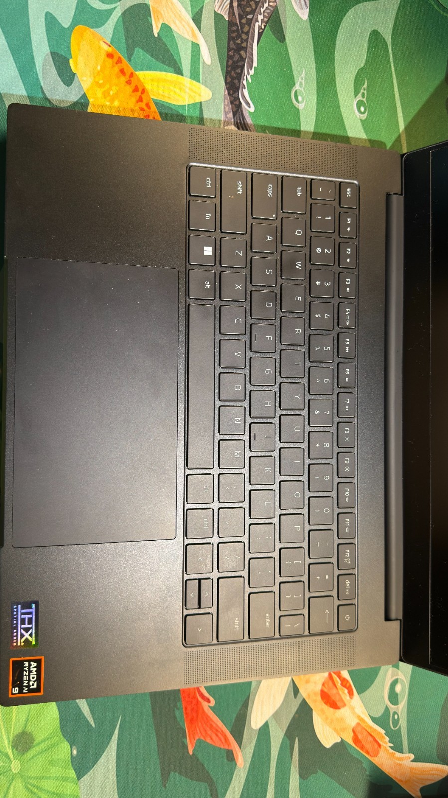 razer blade 14 RTX 4070 32 GB RAM RYZEN 9 8945HS