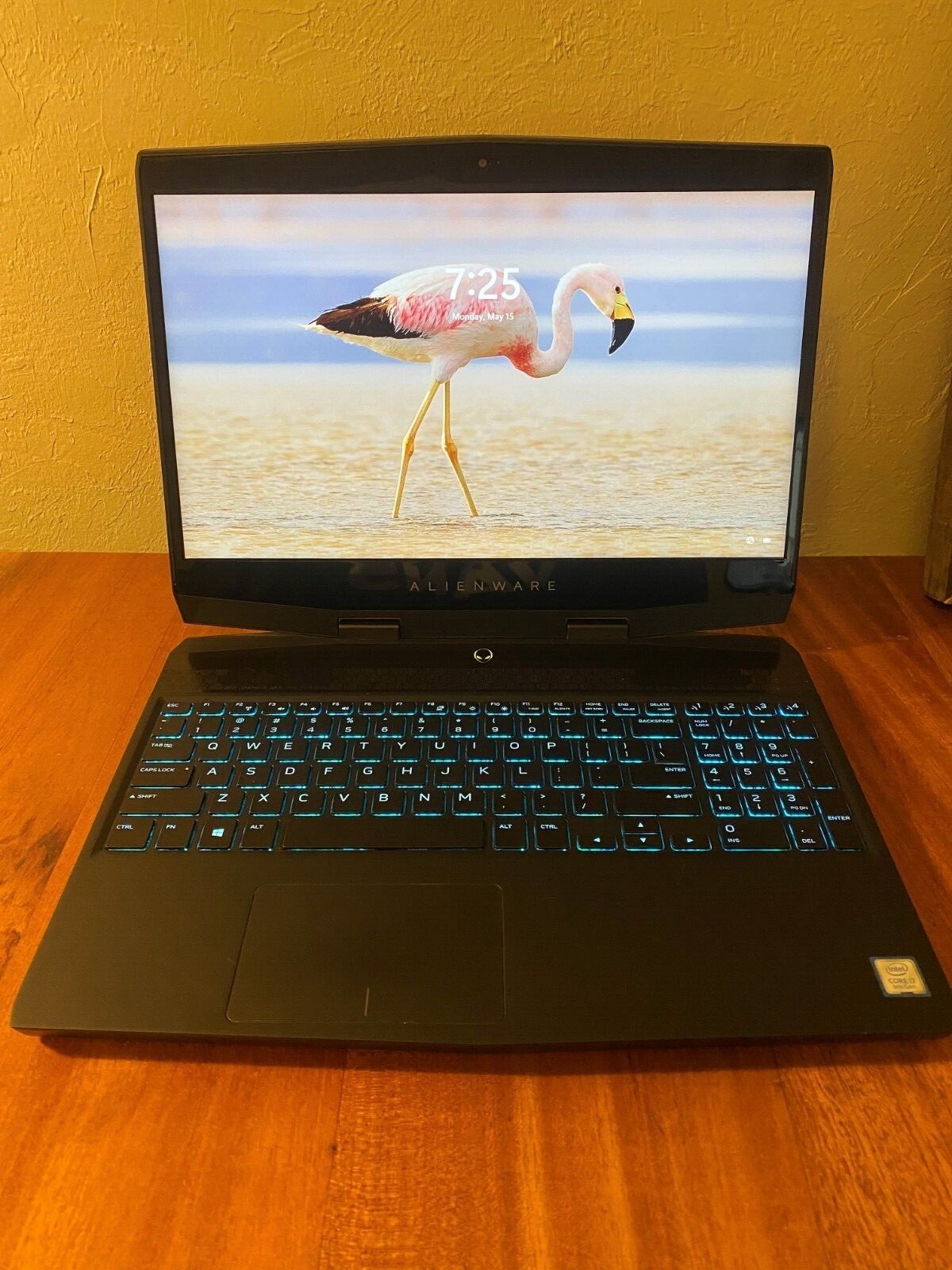 Alienware m15 15.6″UHD 630 (1080p,60Hz) GTX 1660Ti i7-9750H, USED