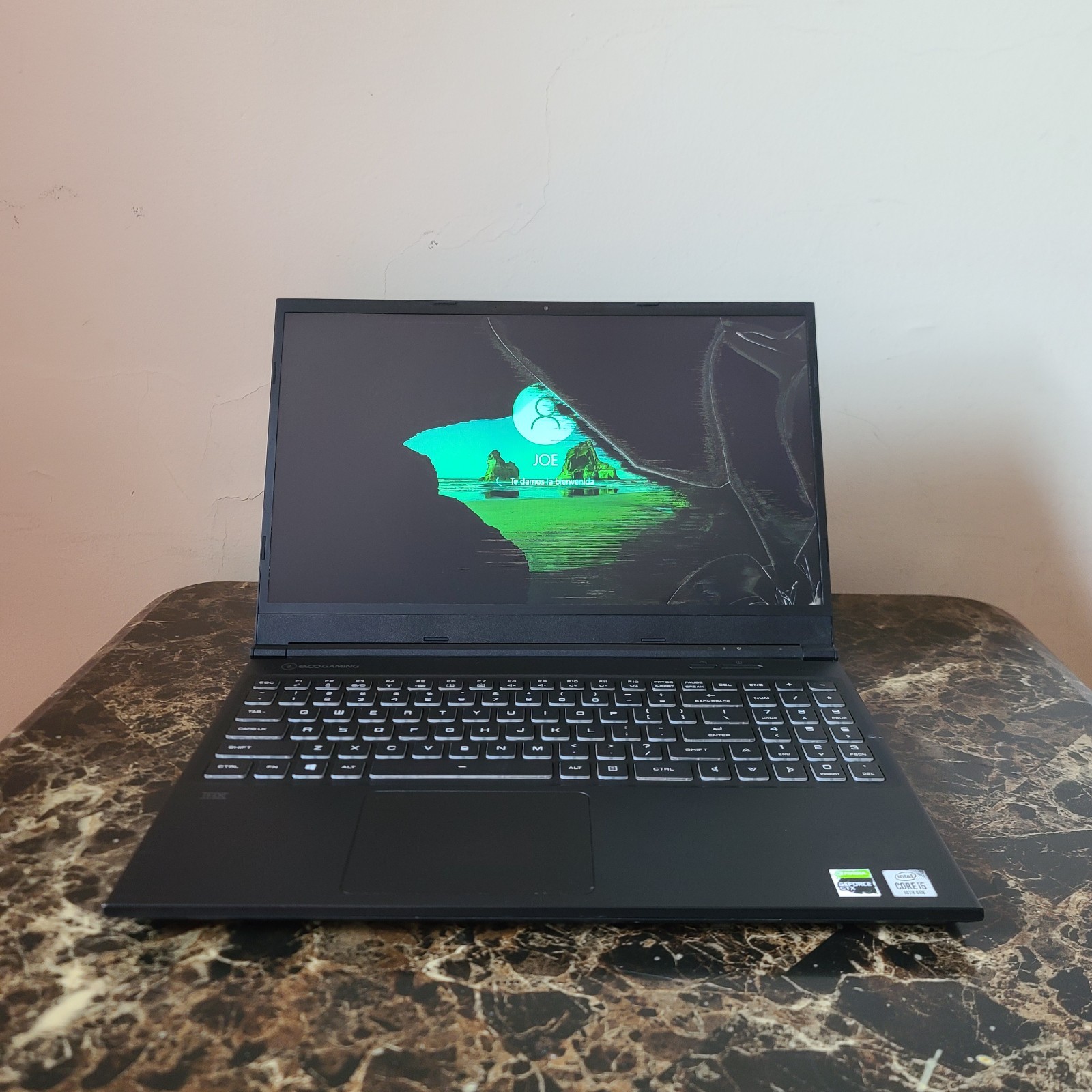 EVOO EG-LP10 GAMING LAPTOP CORE i5-10300H 8GB RAM GTX 1650 256NVMe