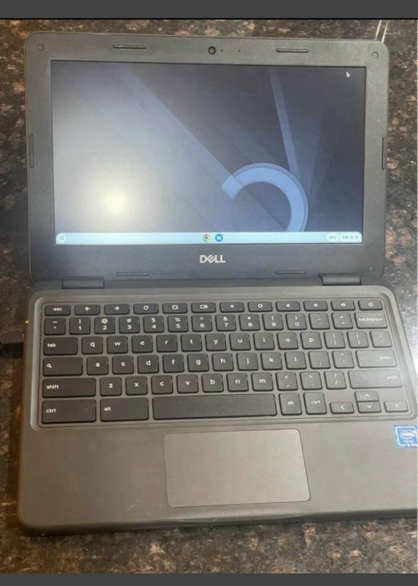 Dell 3100 Chromebook Only