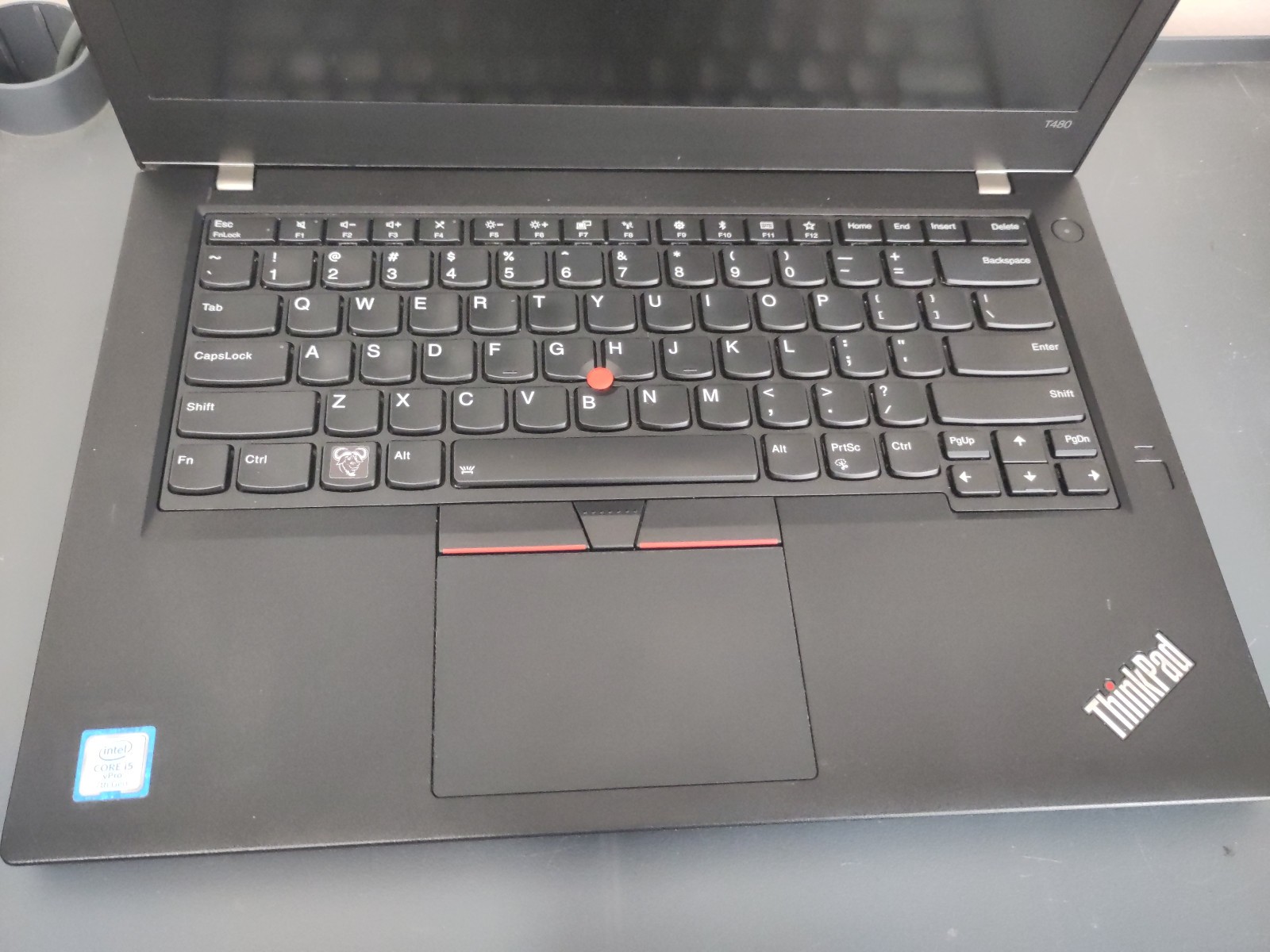Libreboot ThinkPad T480 | i5-7300U | 8 GB RAM | 256 GB SSD