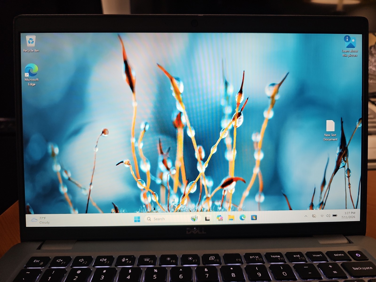 Dell Latitude 5440 14″ 2023 i5-1335U 256GB NVMe 8GB DDR4 RAM FHD W11P + CHARGER