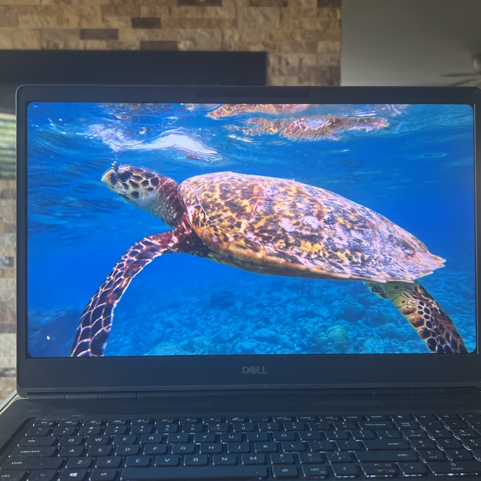 Dell Precision 7750 17.3″ NVIDIA T1000 2.8GHz Intel Xeon W-10855M 64GB 512GB