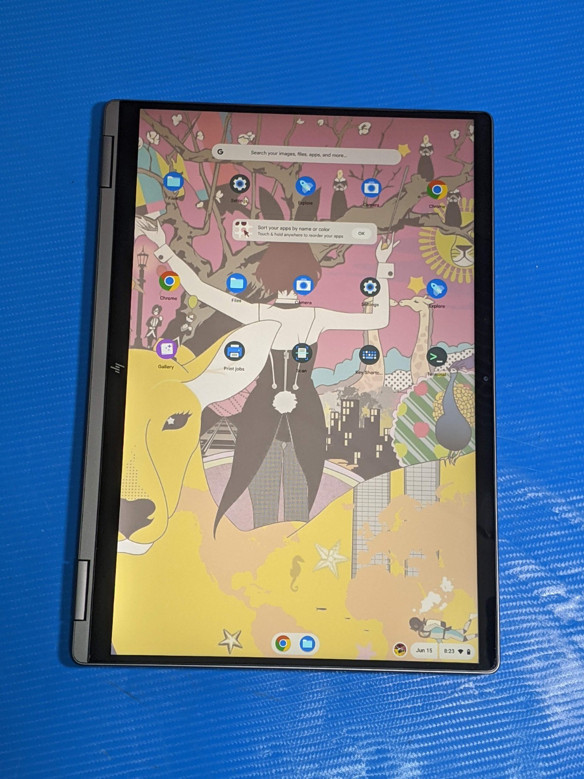 HP Chromebook x360 14c-cd0053dx 14″WUXGA TOUCH i3-1215U 1.2GHz 8GB 256GB SSD +PA