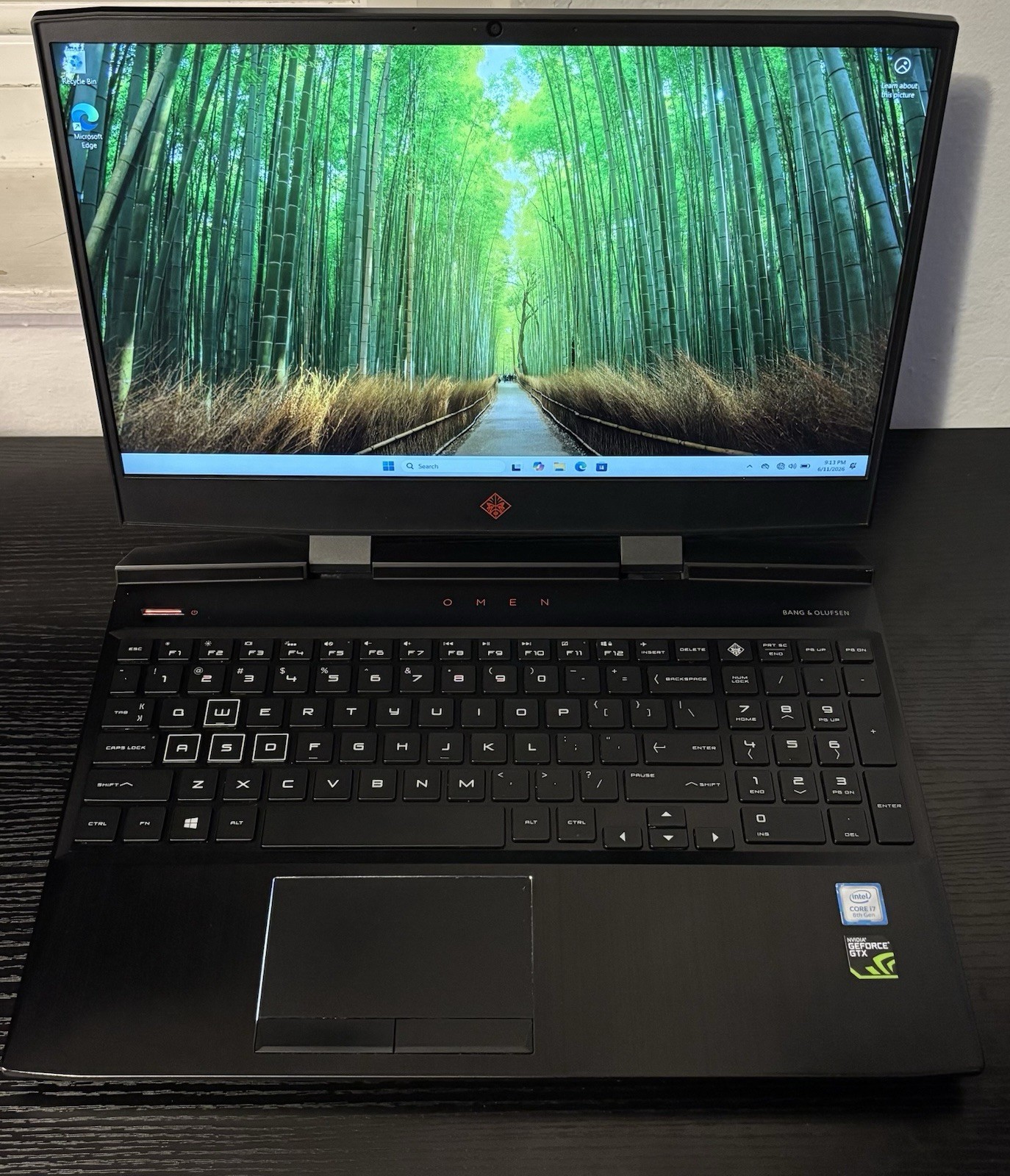 HP OMEN 15 Gaming Laptop GTX 1060 6GB i7-8750H 16GB RAM 750GB SSD Win 11