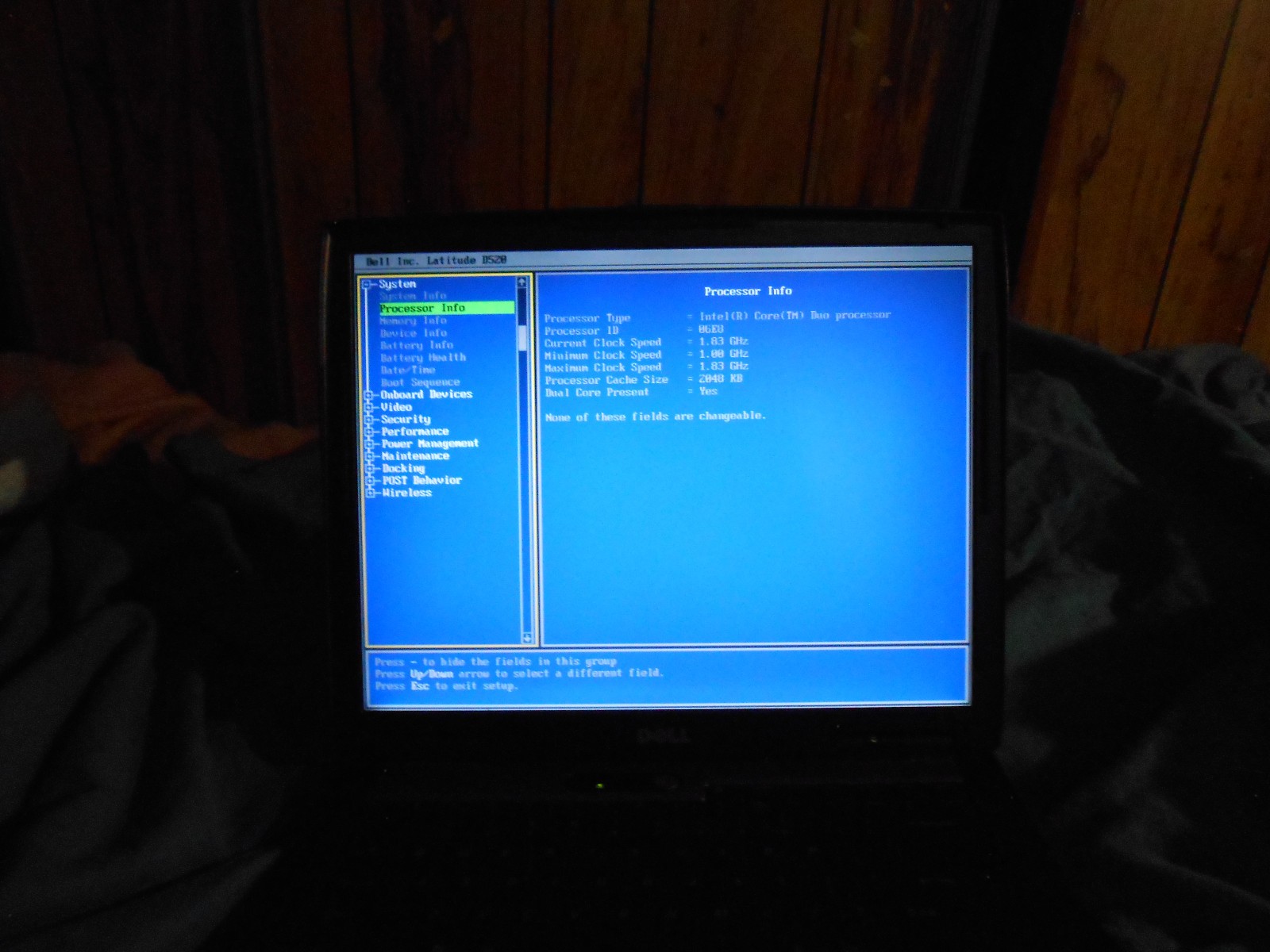 Dell Latitude D520 Windows XP Professional