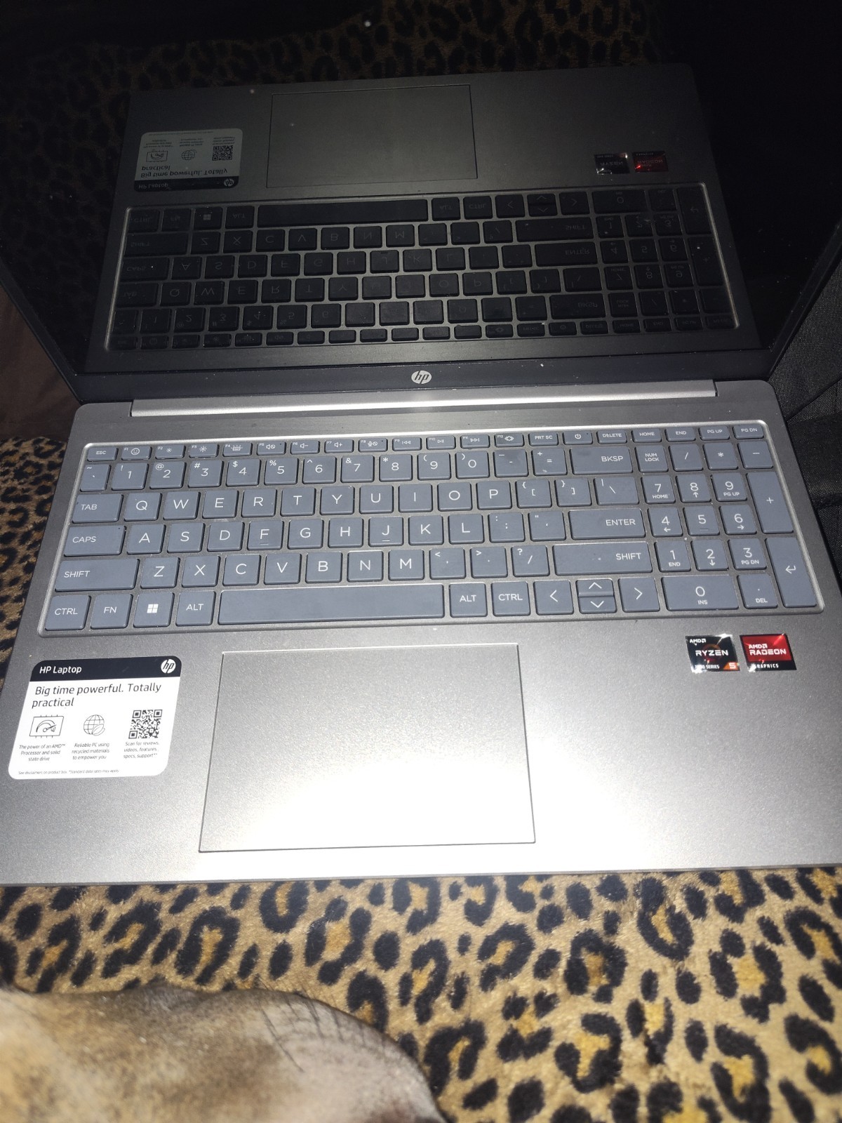 hp 16.5 laptop ryzen 7000 series 5