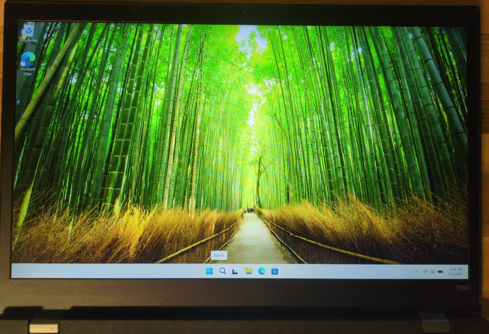 Lenovo ThinkPad T490 | i5-8265U | 8GB RAM | 256GB SSD | WIN 11 PRO Laptop (011)