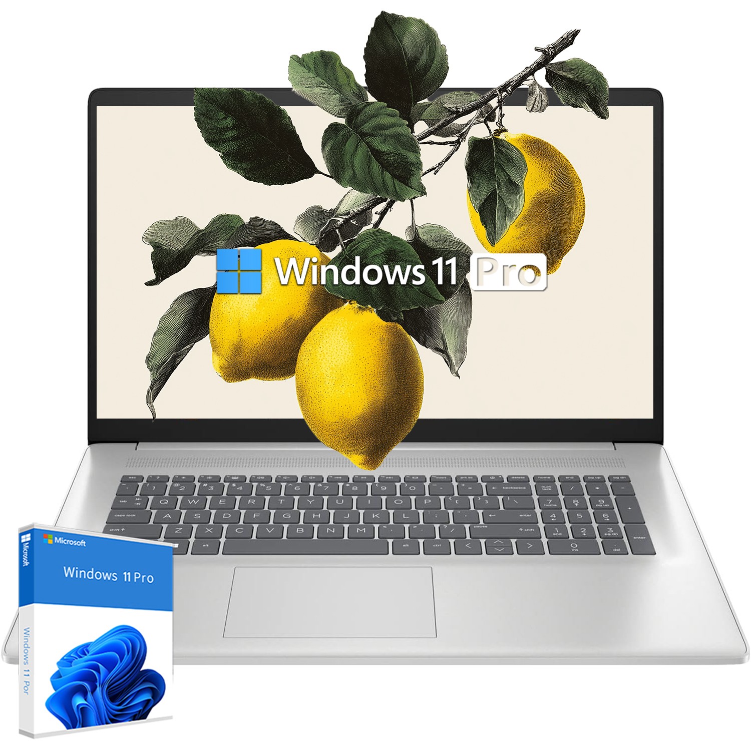 HP 17.3 IN BUSINESS LAPTOP 4.3 GHZ AMD RYZEN 5 16GB RAM 1T SSD WINDOWS 11 PRO