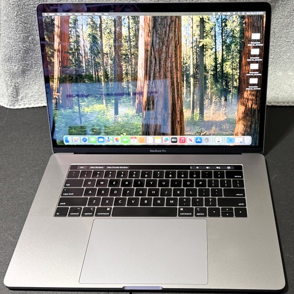 Apple MacBook Pro 15” A1990 2.60GHz 6-Core i7-9750H 512GB SSD 16GB RAM 555X