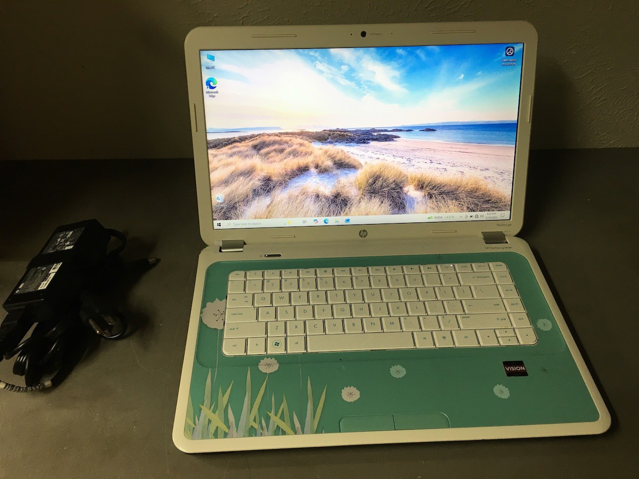 HP Pavilion G6 AMD A4-3300M 1.90GHz 6GB 120GB SSD [ Flowers ] Windows 10