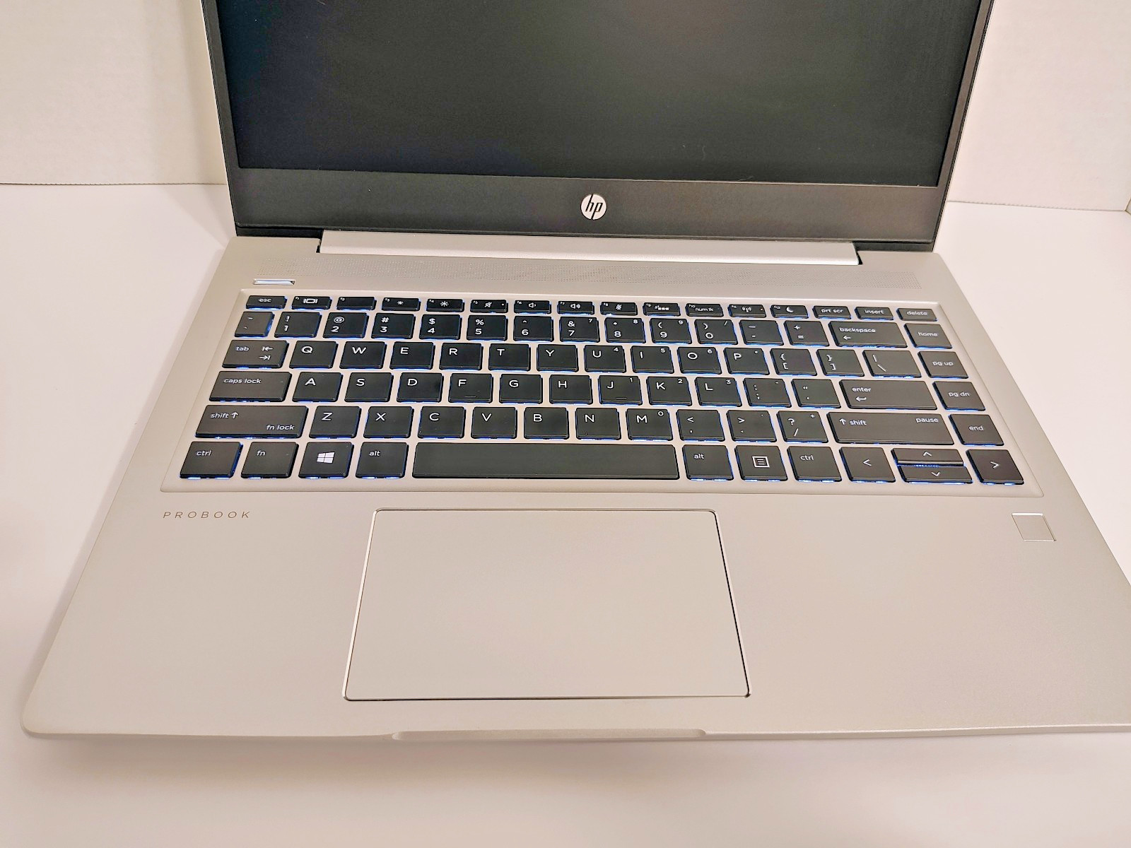HP ProBook 445R G6 | 16GB RAM | 256GB SSD | Linux Mint 22 | Light, Slim, Portabl