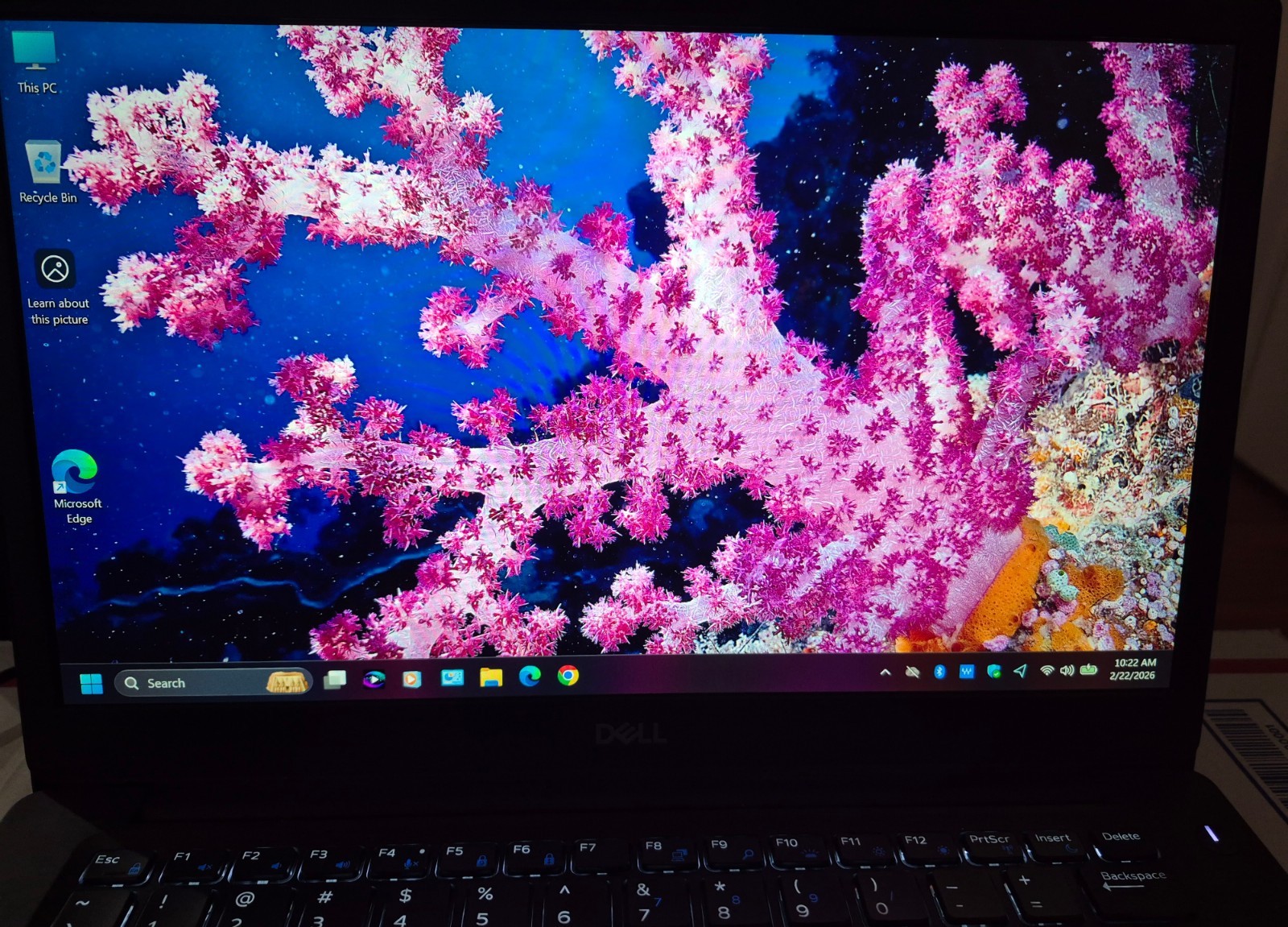 DELL LATITUDE 7490 i5-8350U TOUCH 16GB RAM 256GB NVME WINDOWS 11 + OFFICE 2021