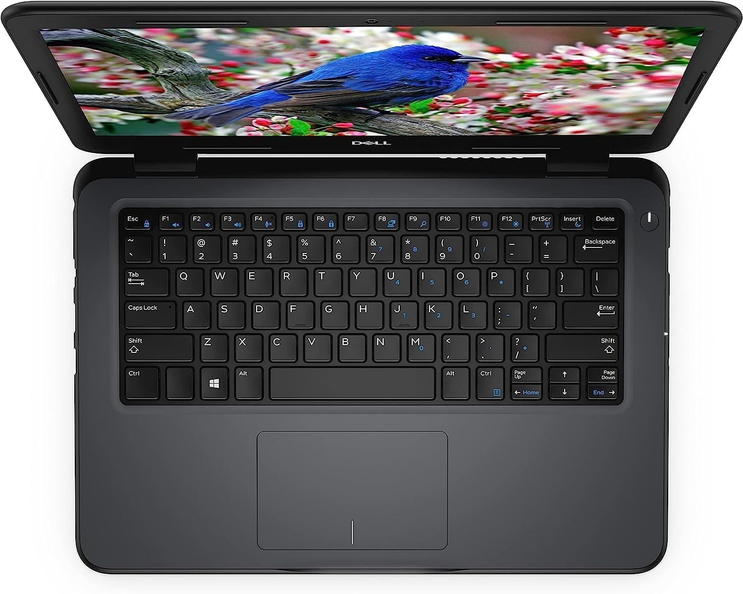 ~OVERSTOCK SALE~ Lenovo ThinkPad Laptop PC: Intel Core i5! 16GB RAM! 512GB SSD!