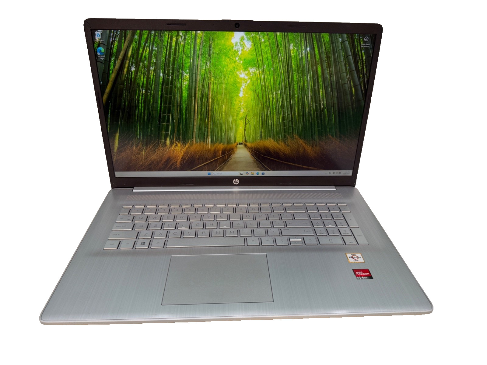 HP 17z-cp000-AMD Athlon Gold 3150U@2.4GHz 4GB DDR4 Ram 256GB NVME SSD W11H (790)