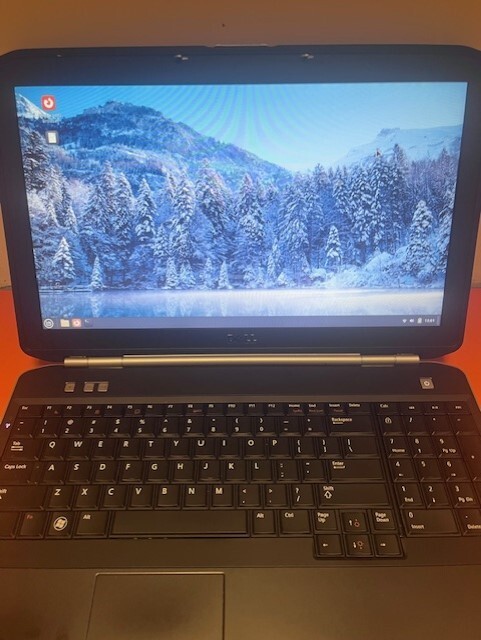 Dell Laptop Linux Mint Cinnamon 8GB Ram,New Fast 256GB SSD Drive,Year Warranty