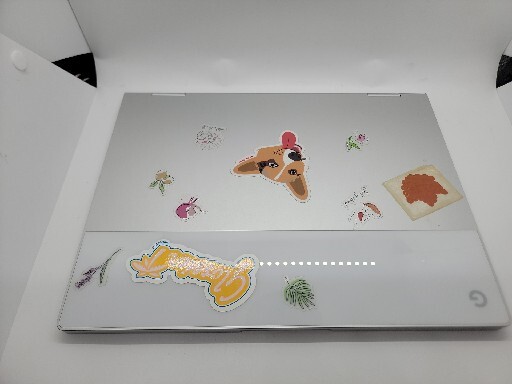 Google Pixelbook COA 7A31G0107H Chrome OS – Silver