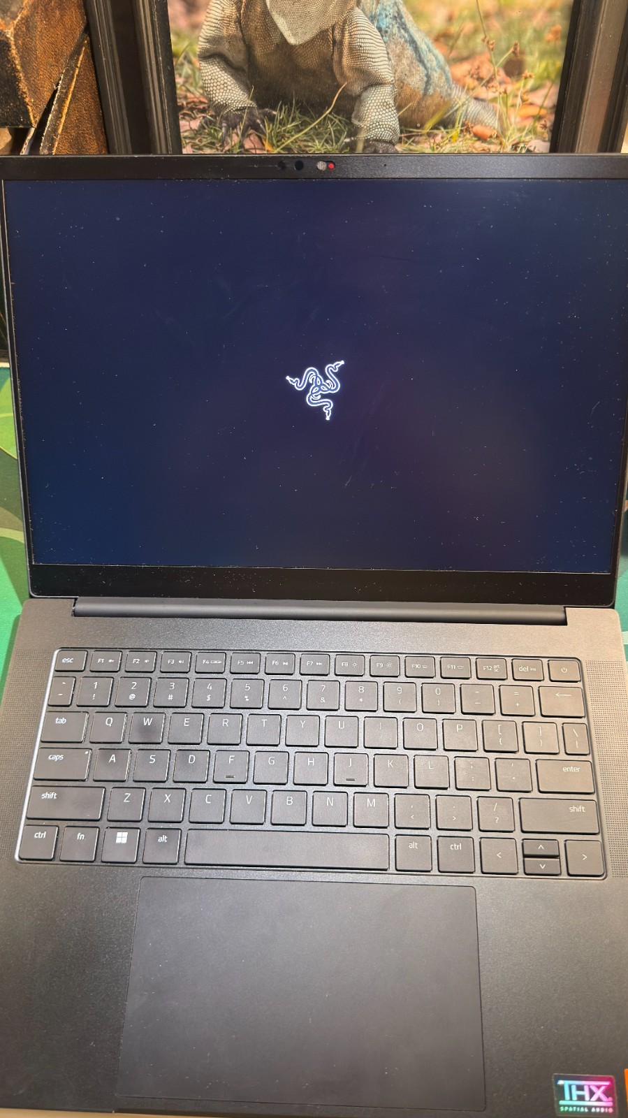 razer blade 14 RTX 4070 32 GB RAM RYZEN 9 8945HS