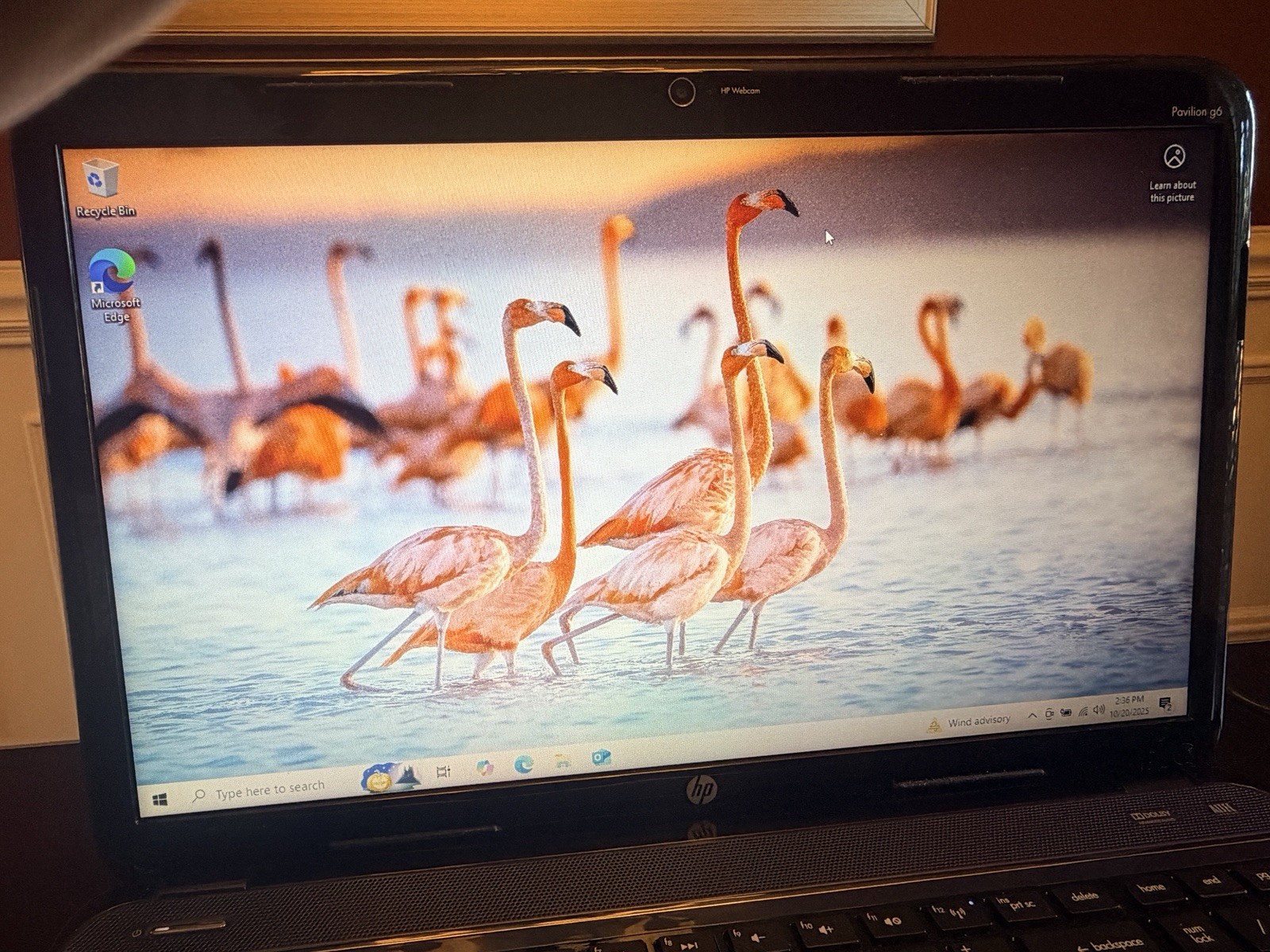 HP Pavilion G6-2217CL 15.6″ Laptop AMD A8-4500M@1.90GHz 750GB HDD 6GB RAM