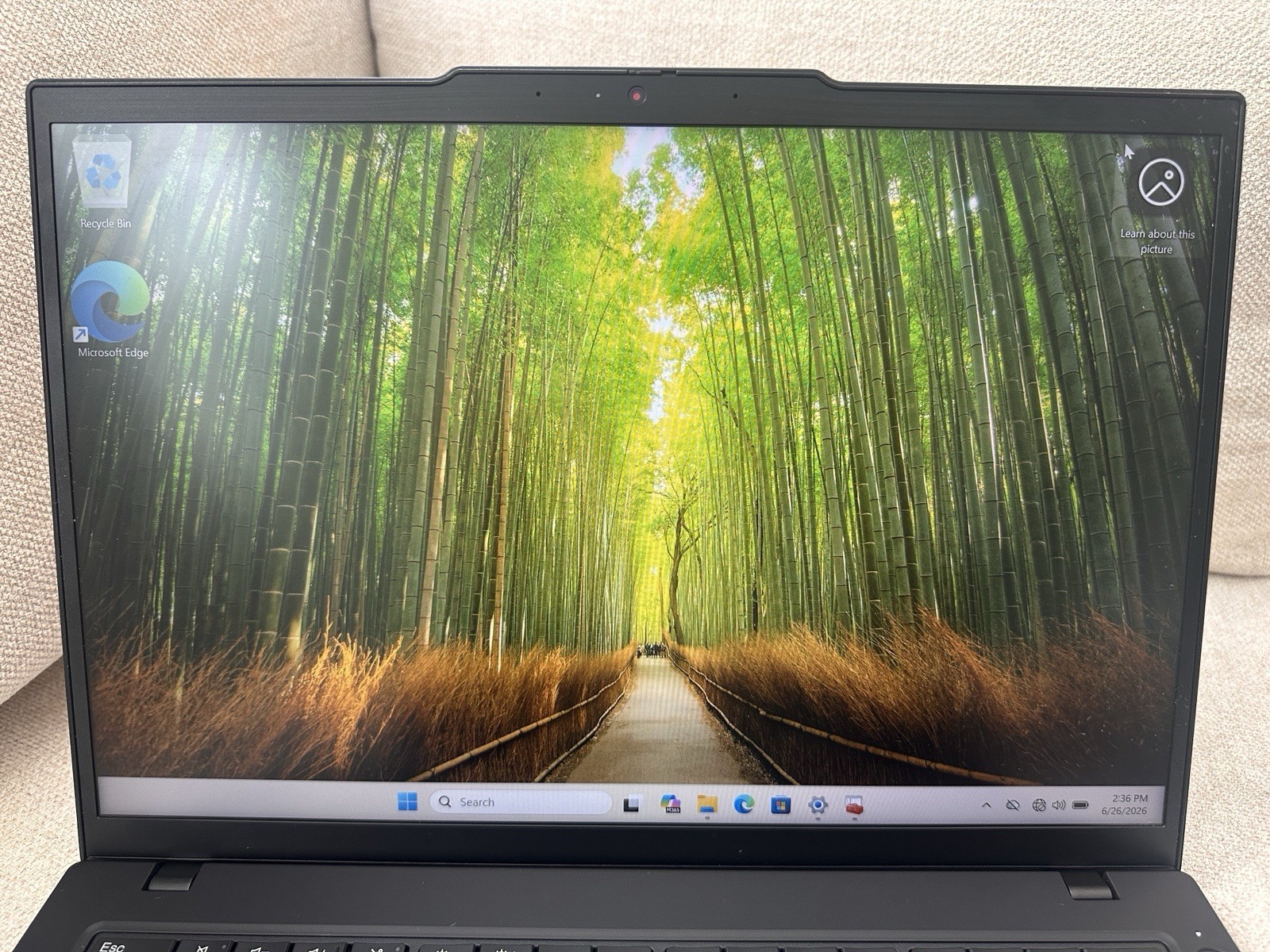 Lenovo ThinkPas T14 Gen 5 Laptop Intel Ultra 7 155U 16GB | 1TB