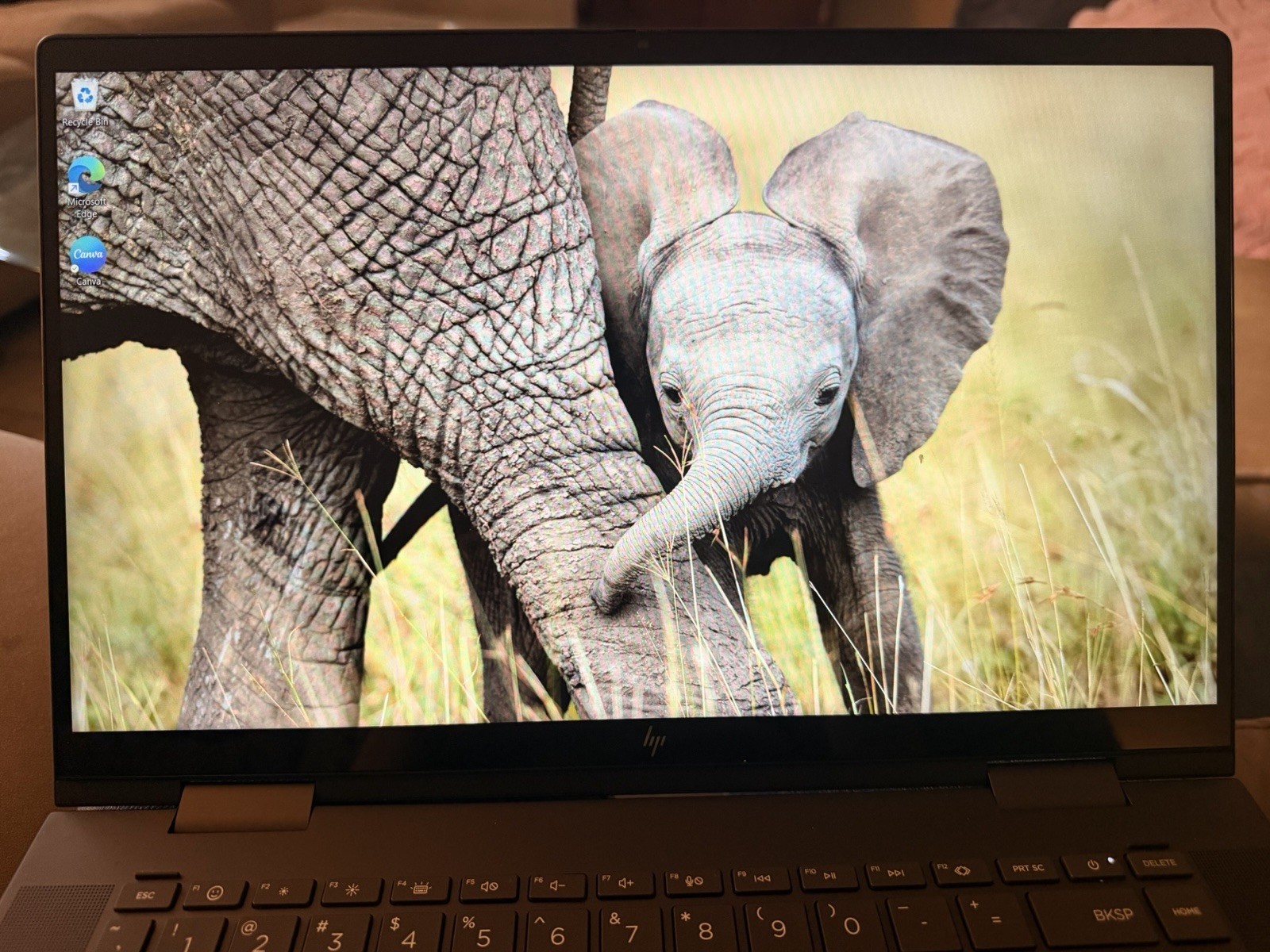 hp envy x360 2-in-1 laptop 15-fh0013dx