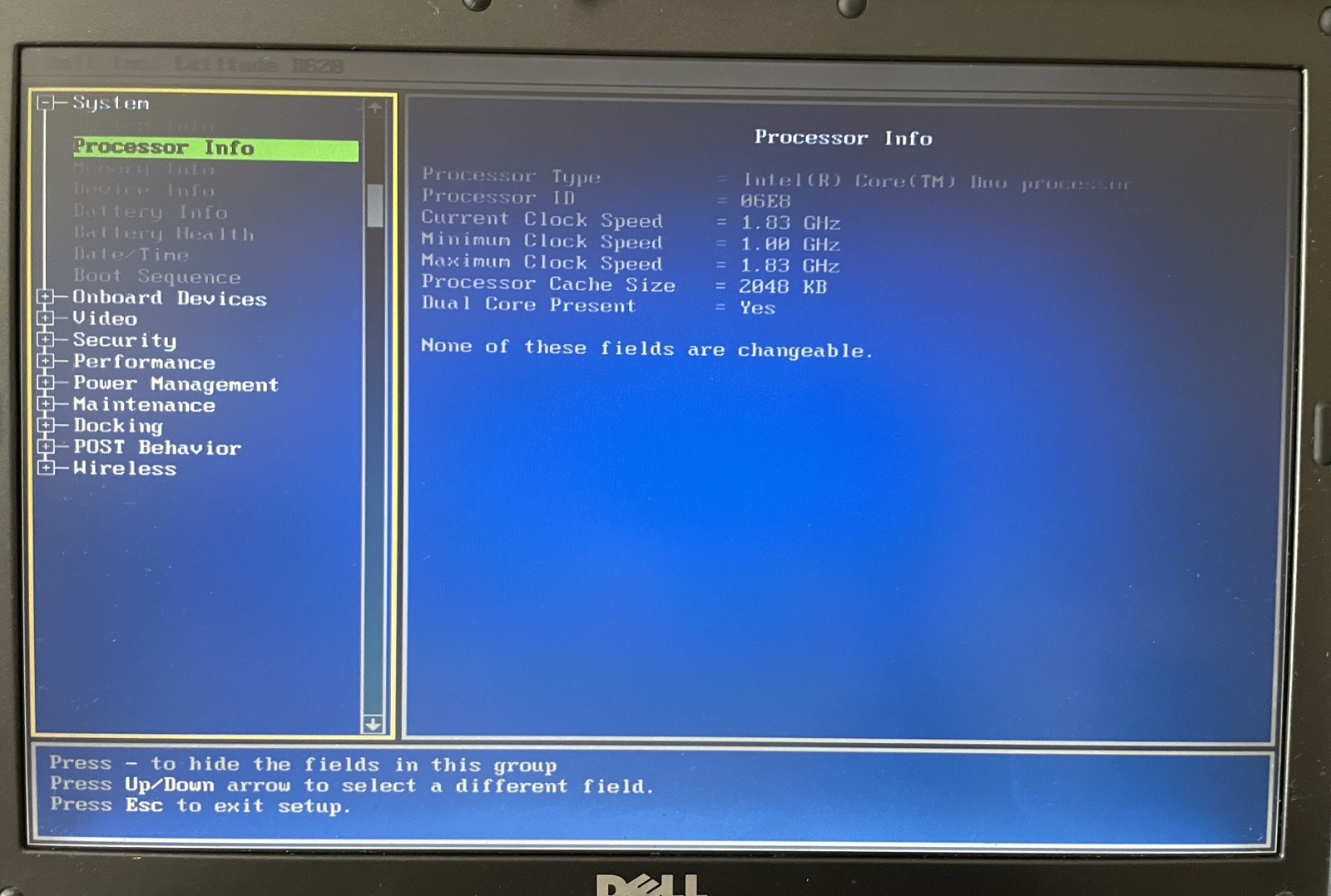 Dell Latitude D620 Retro Windows XP Laptop (9WB1)