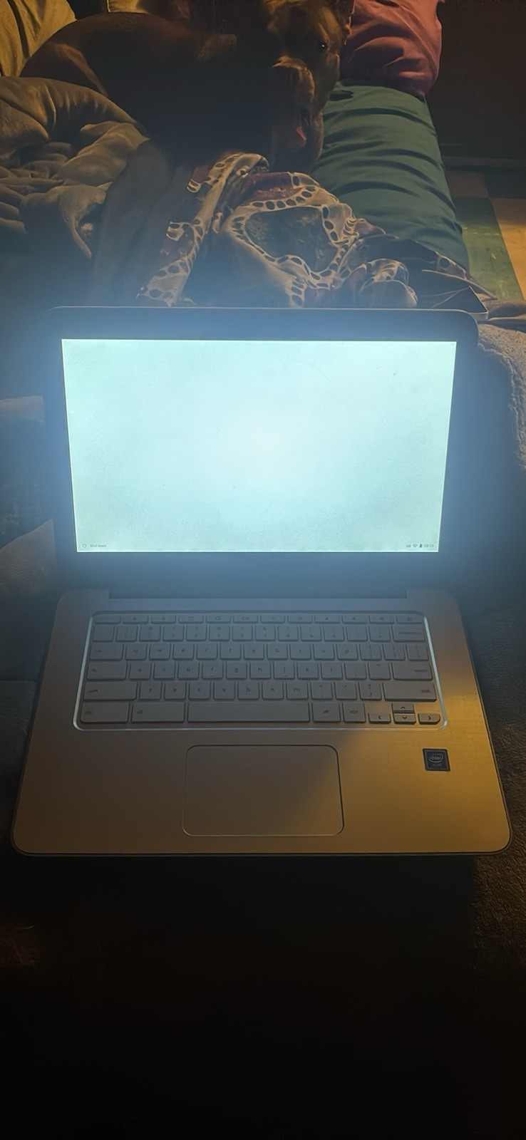 HP Chromebook 14-DB0031NR 14-inch Intel Celeron Chrome OS Laptop