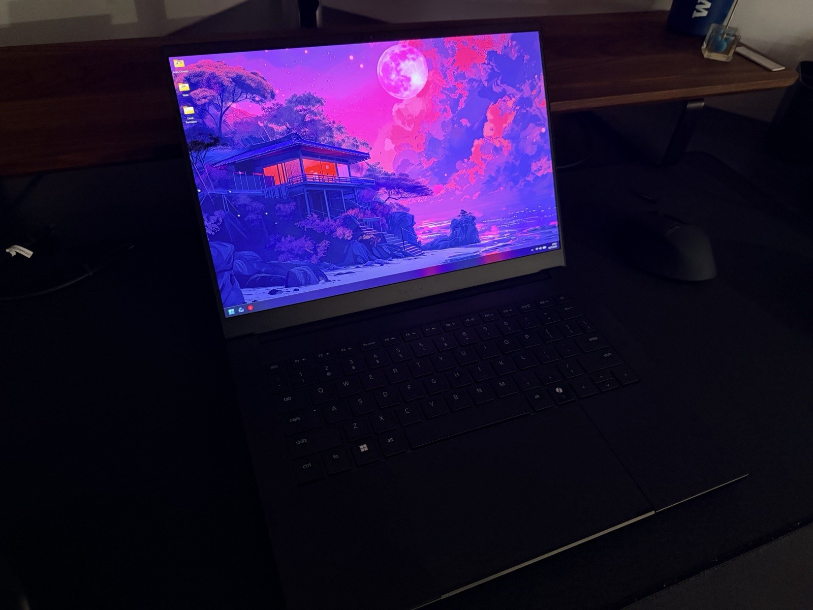 Razer 14″ 2025 32GB, 5070 (Samsung SSD 990 PRO – 2TB)