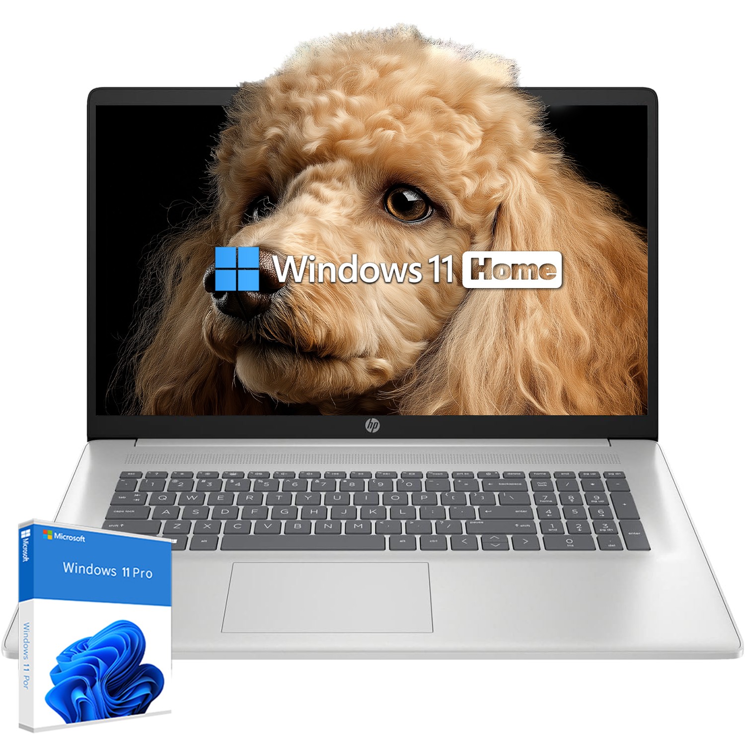 HP 17.3″ Laptop computer Win11Pro 2.7~4.3GHz AMD Ryzen 5-7430U 8GB RAM 512GB