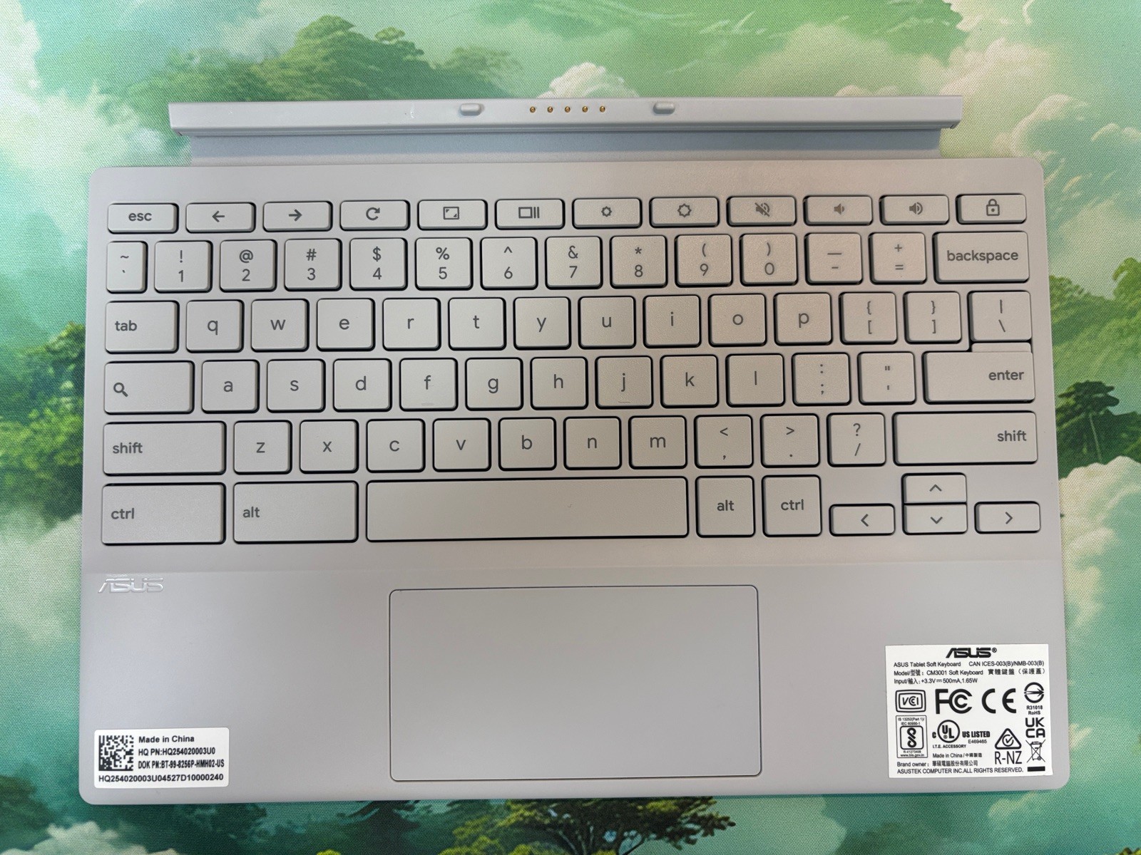 ASUS Chromebook Detachable CM3001 10.5” 8GB RAM 128GB ChromeOS Keyboard Included