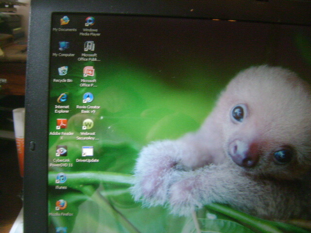 Toshiba Satellite M105-S3084 Laptop FULLY FUNCTIONAL WINDOS XP