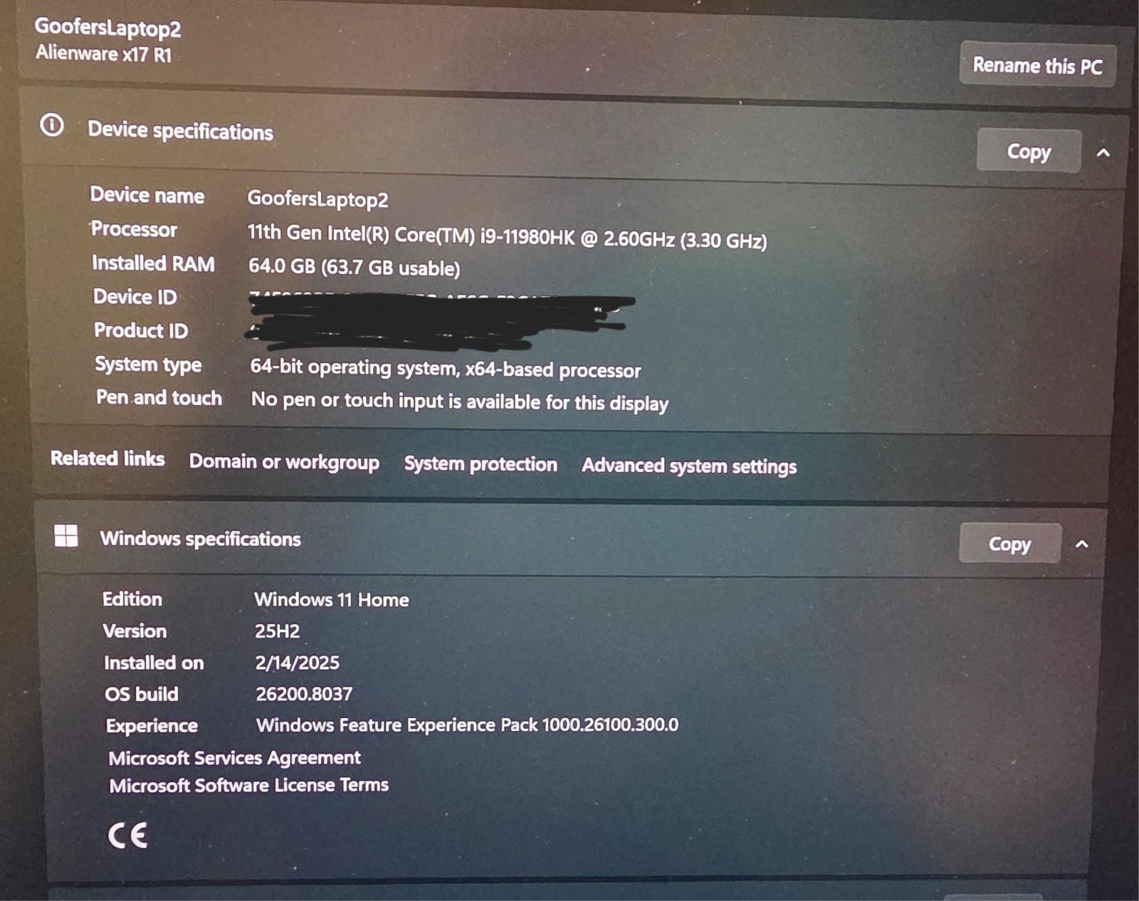 Alienware x17 R1 i9-11980HK RTX 3080 64GB RAM 3.7TB SSD + Fans Case