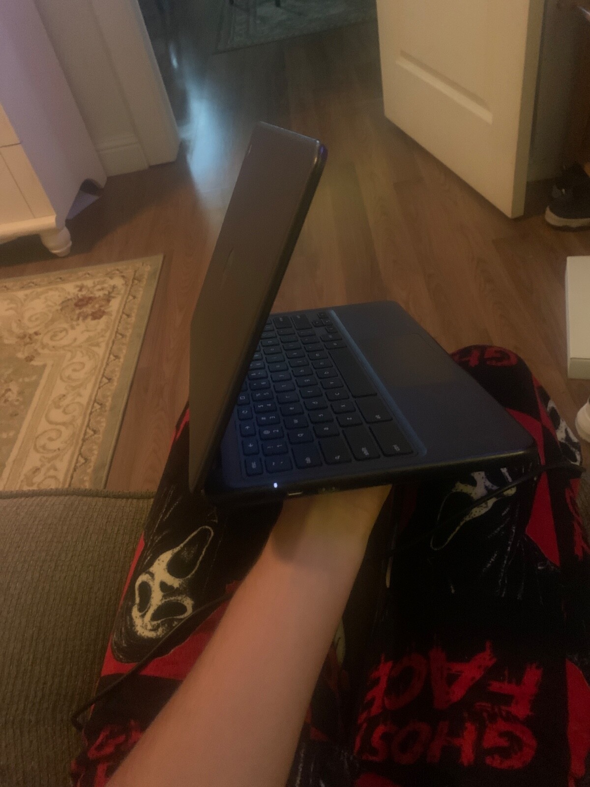 dell (Chromebook) 3100 (Wi-Fi) 4GB 32GB Black. (charger and mouse included)