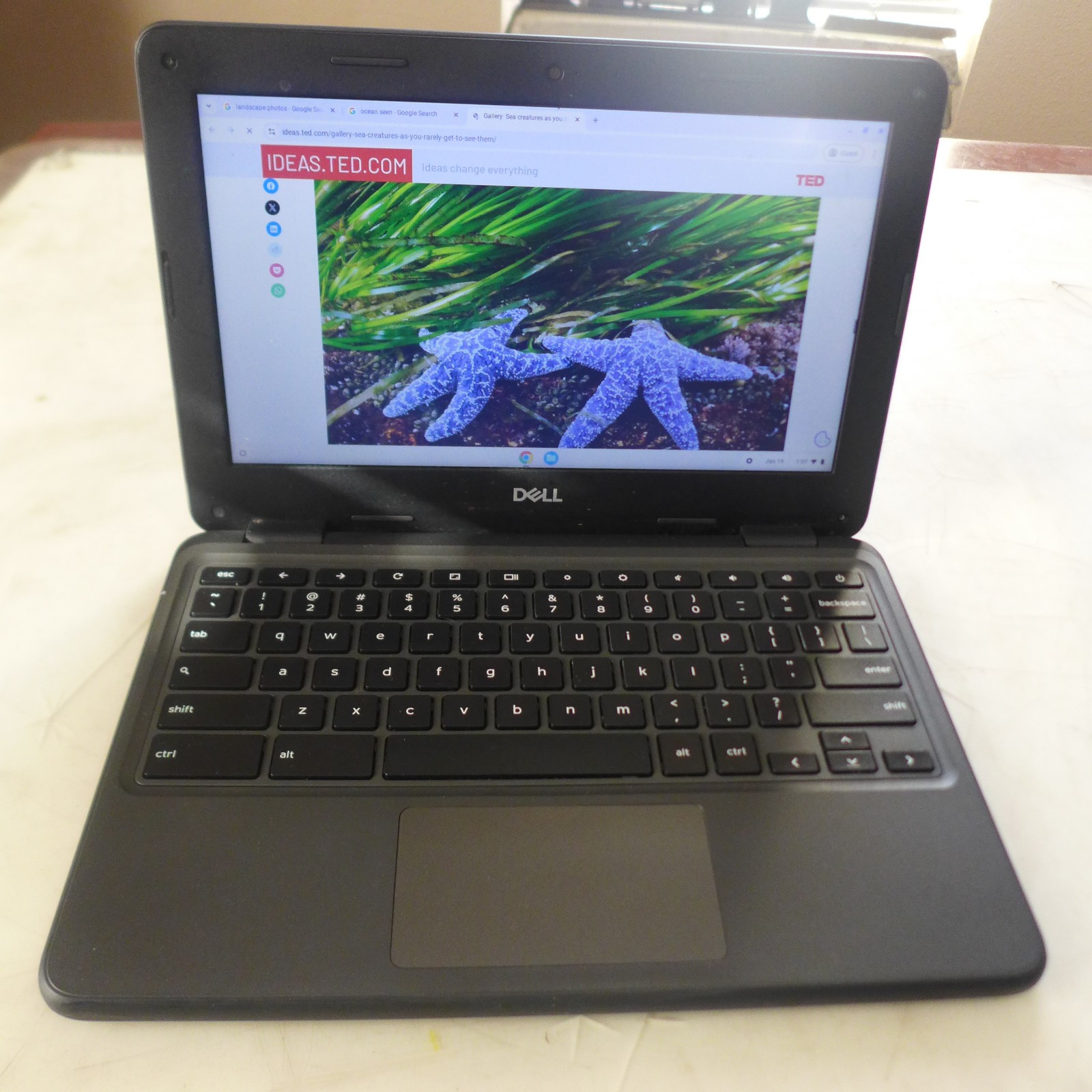 Dell Chromebook 3100 2 IN 1 11.6″, Intel Celeron,4GB, 6GB, ChromeOS TOUCH SCREEN