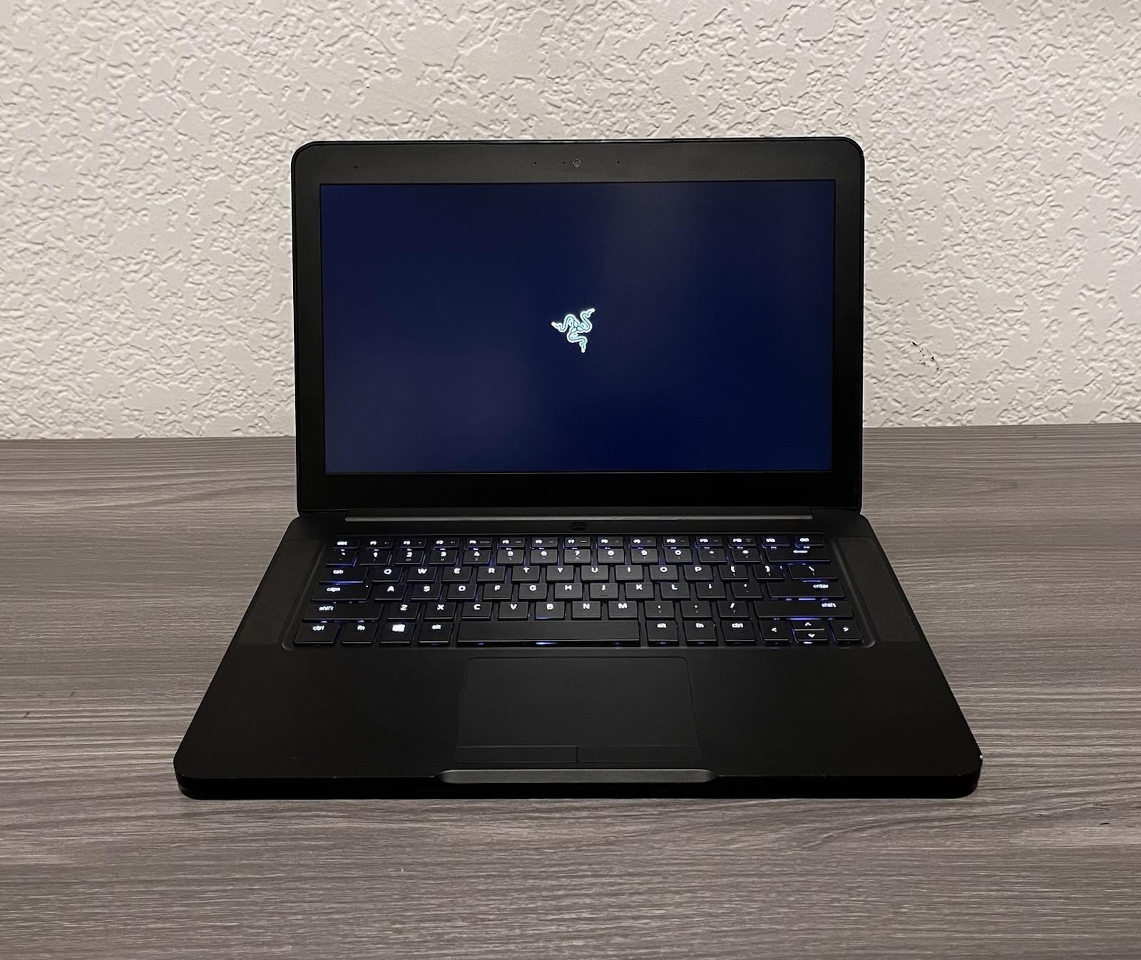 Razer Blade Stealth 14 i7-7700HQ 16GB RAM GEFORCE GTX 1060 6gb (READ)