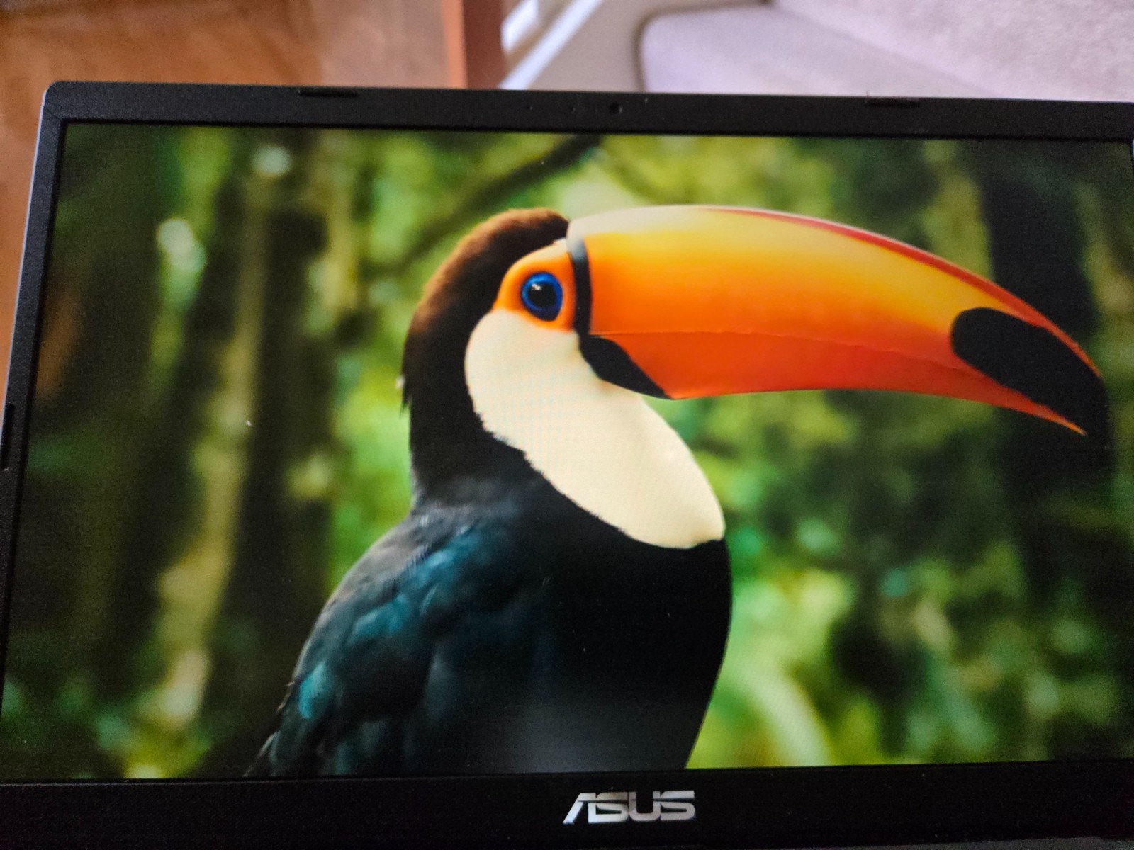 ASUS : M415UA-IS59 AMD Ryzen 5 5500U Mobile Proc 16GB RAM 512GB SSD Win 11 Home