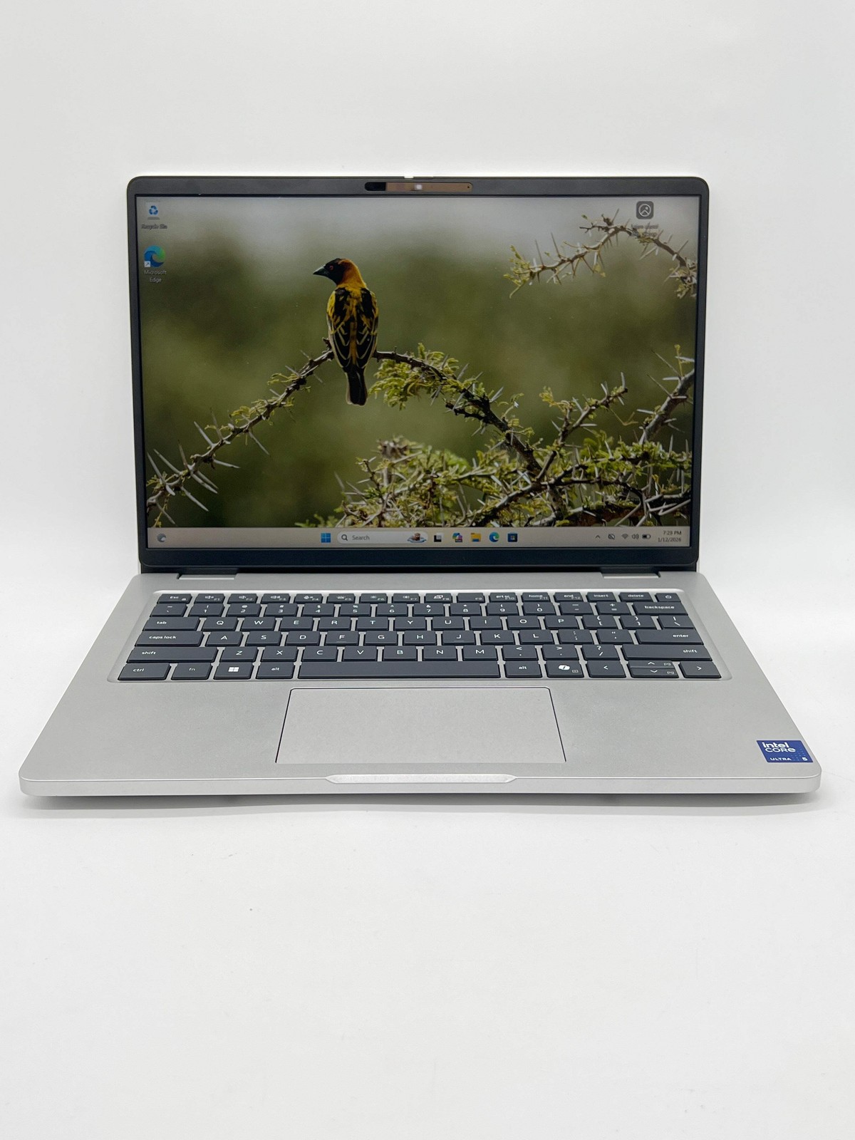 Dell Pro 14 PC14250 Ultra 5 235U 32GB 256GB SSD 14″ Laptop w/ Charger – Used